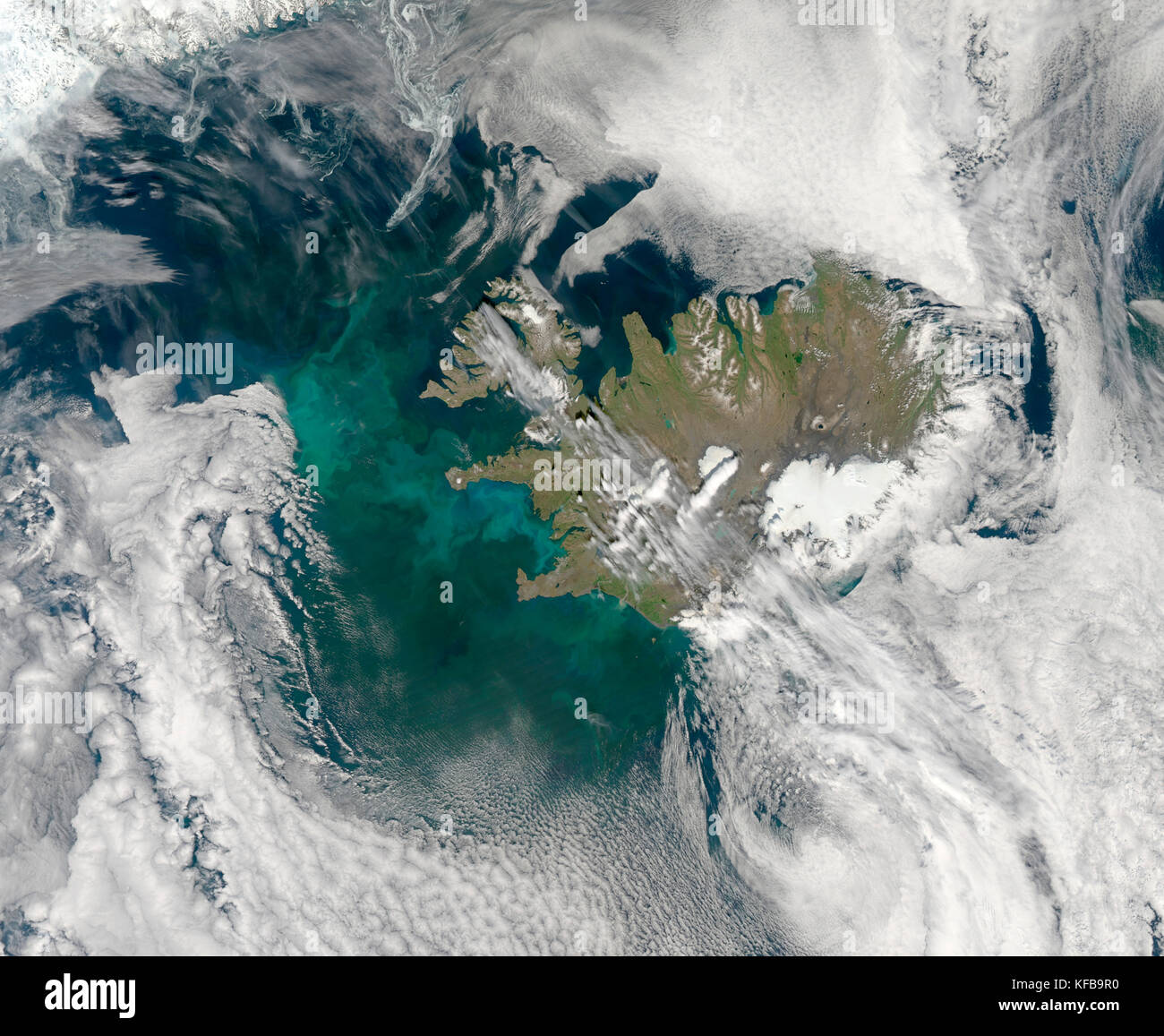 Plankton Bloom: One of the larger regularly observed blooms occurs in the North Atlantic Ocean near Iceland and Greenland in the Northern Hemisphere Stock Photo