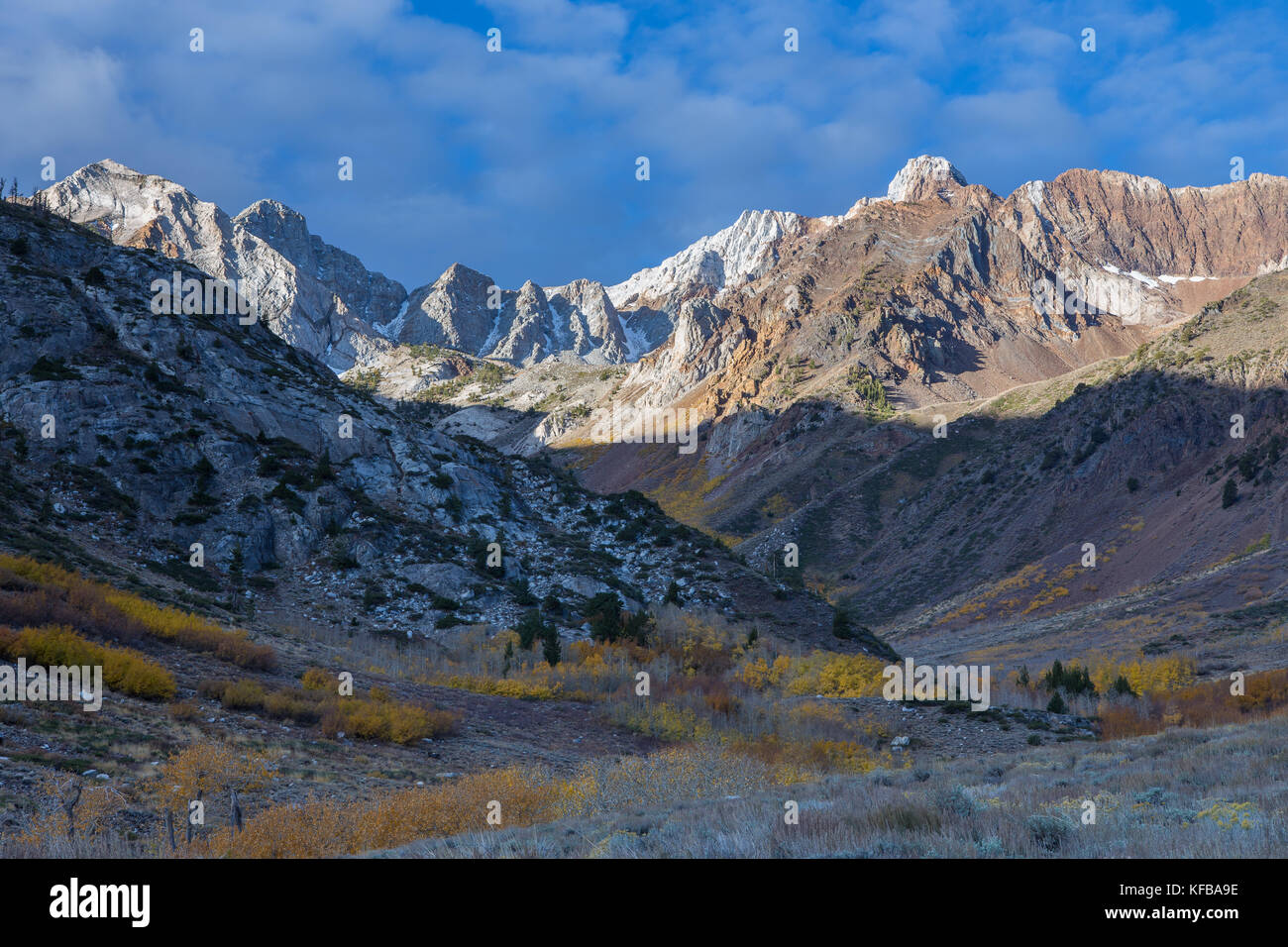 Fall colors glow in the McGee Canyon area of the John Muir Wilderness. As Eastern Sierra Nevada Mountain peaks rise up in the background early morning Stock Photo