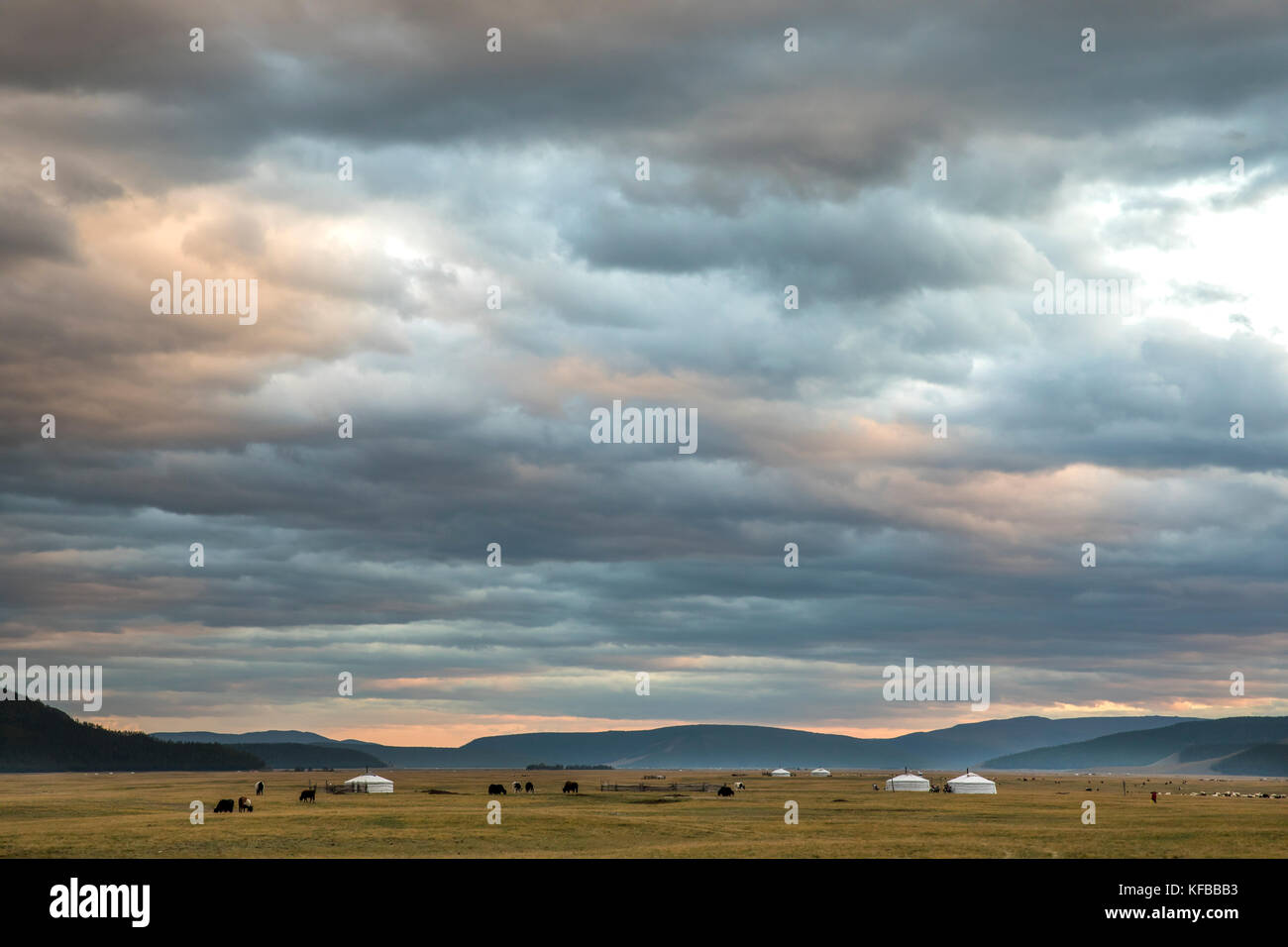 yurts in a landscape of northern Mongolia Stock Photo - Alamy