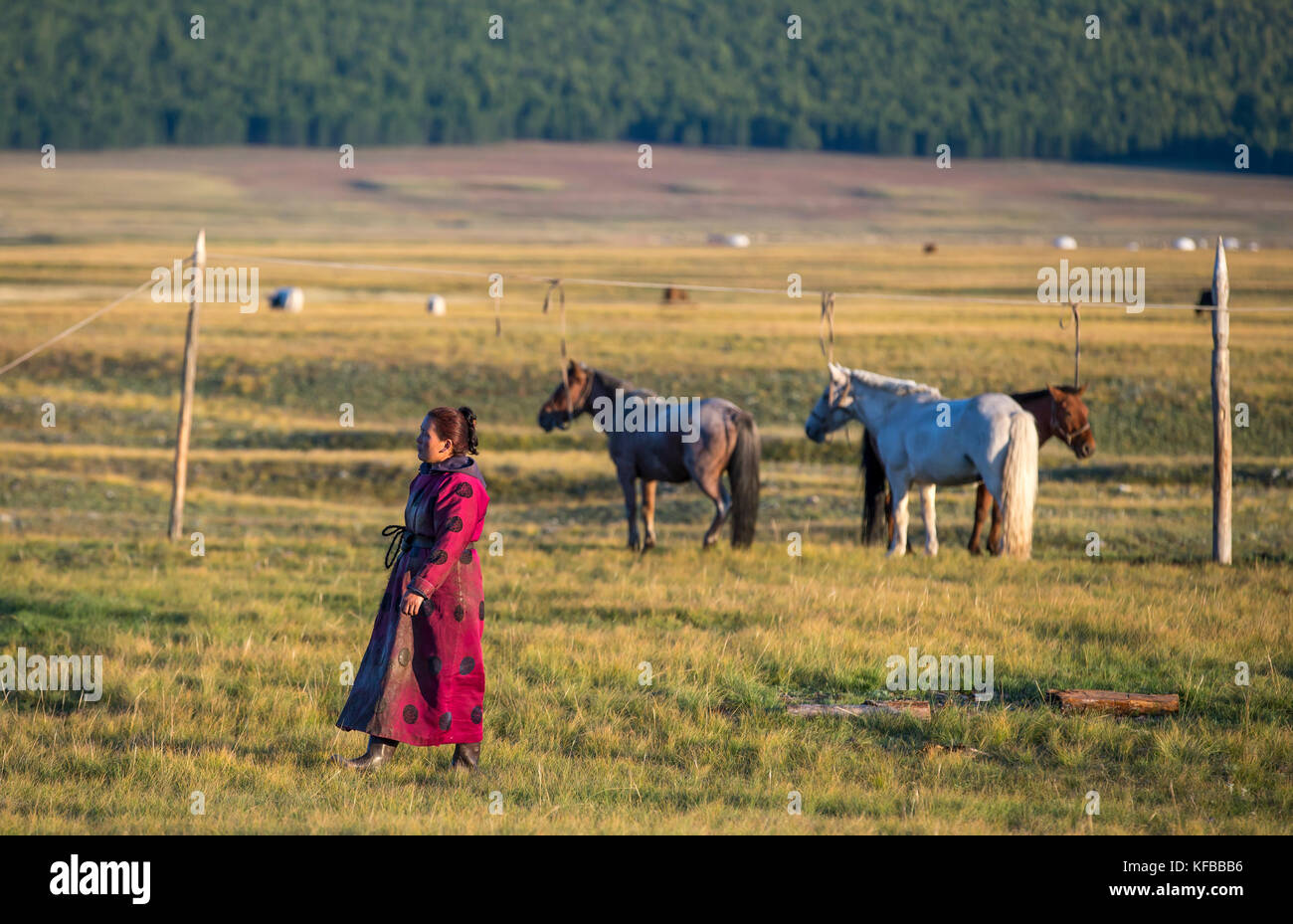 mongolian woman walking in a landscape of northern mongolia Stock Photo ...