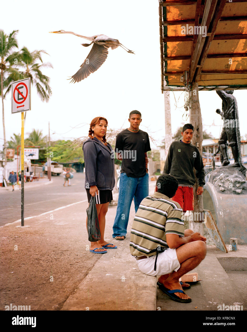GALAPAGOS ISLANDS, ECUADOR, a crane flies over a group of locals at a fish market on the island of Santa Cruz Stock Photo