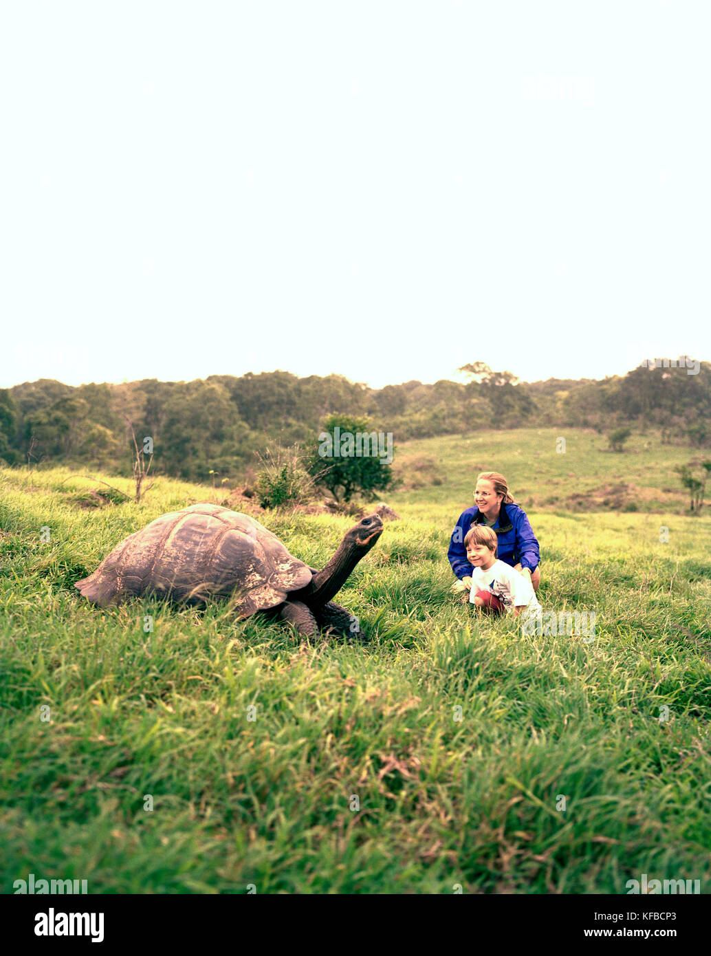 ECUADOR, Galapagos, Santa Cruz Island, mother and son observing a giant tortoise in the highlands Stock Photo