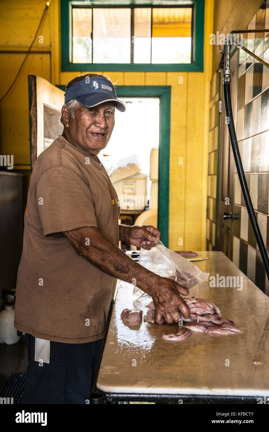 House sale fish hires stock photography and images Alamy