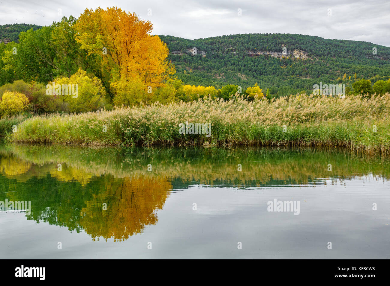 Autumn reflection over lake Stock Photo - Alamy