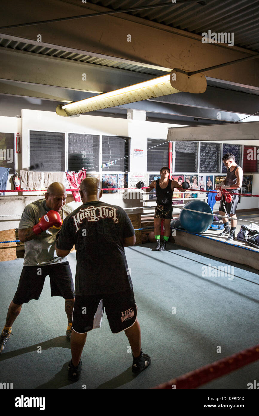 USA, Oahu, Hawaii, portrait of MMA Mixed Martial Arts Ultimate fighter