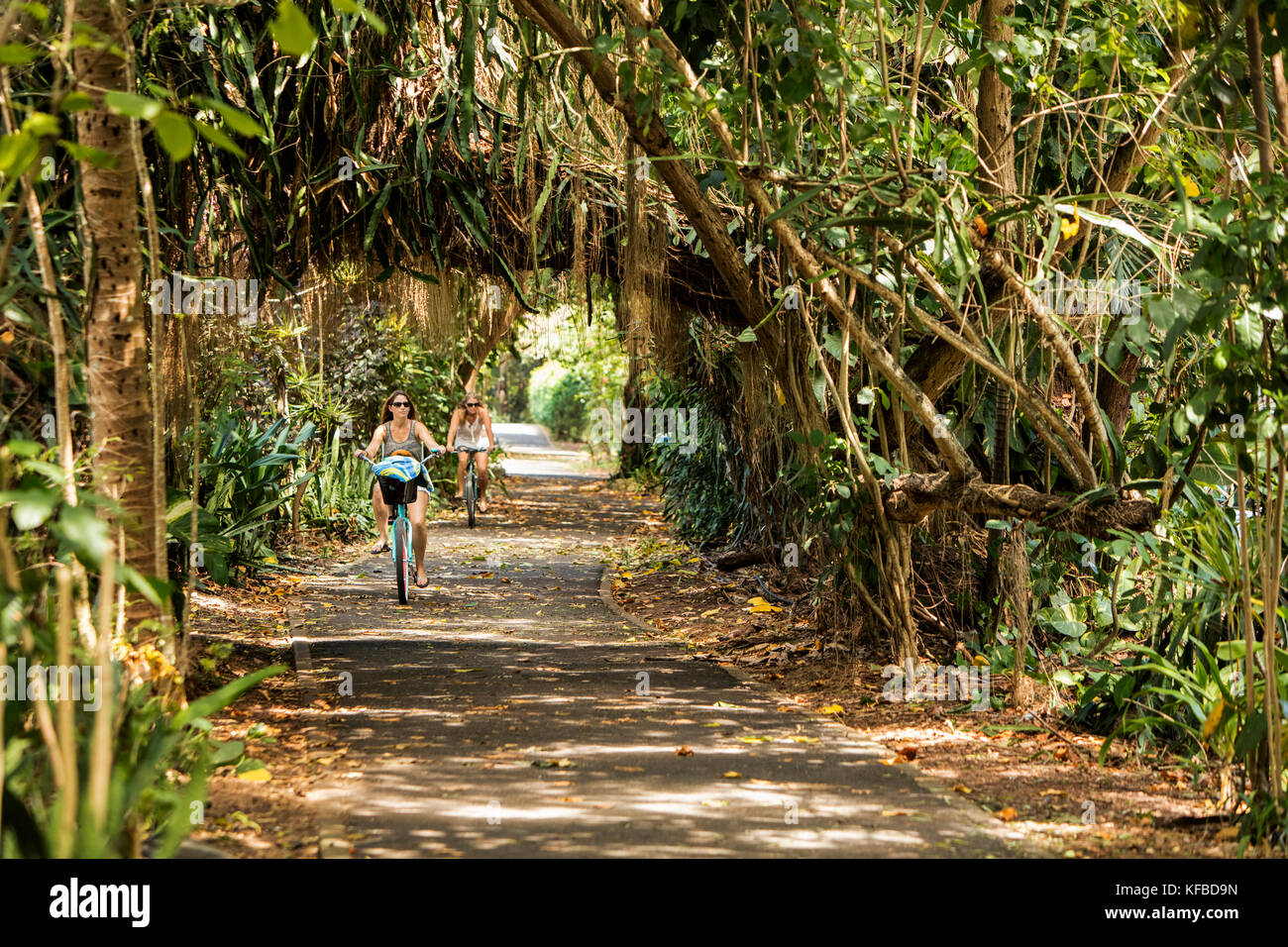 HAWAII, Oahu, North Shore, individuals riding their bikes on the path