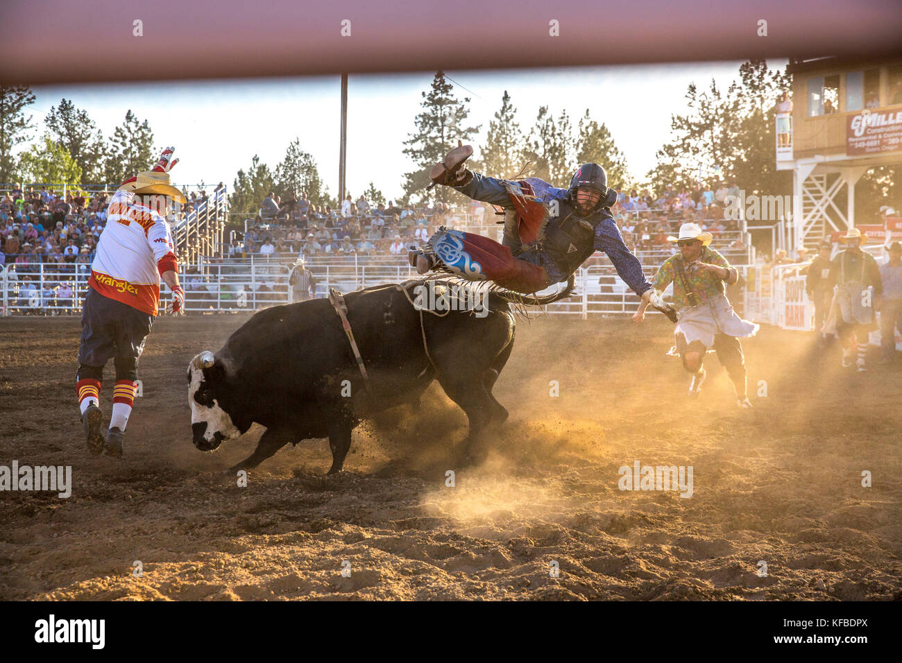 USA, Oregon, Sisters, Sisters Rodeo, cowboys ride a 2,000 pound bull with virtually no control for as long as they can Stock Photo