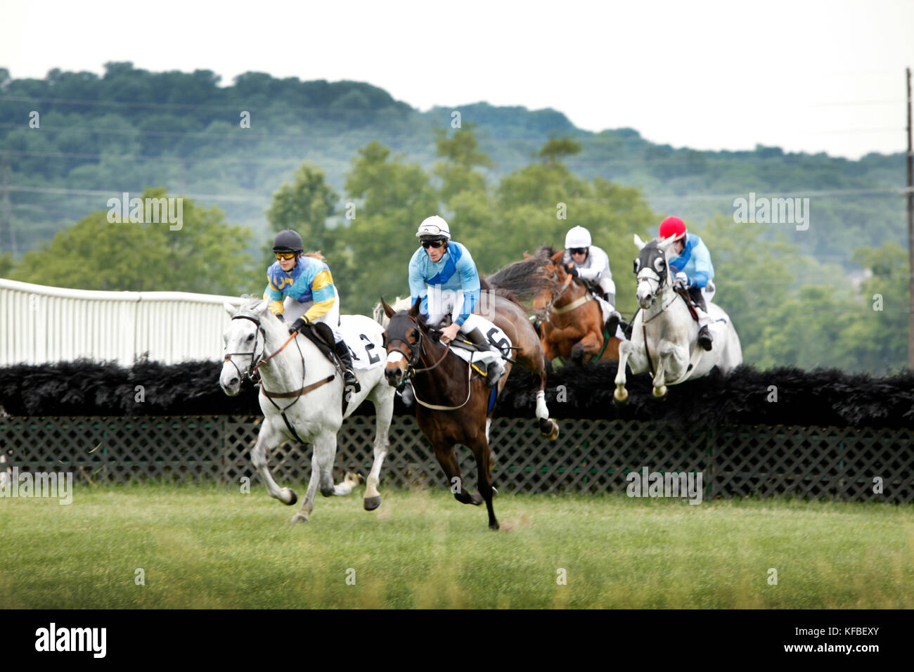USA, Tennessee, Nashville, Iroquois Steeplechase, horses and their