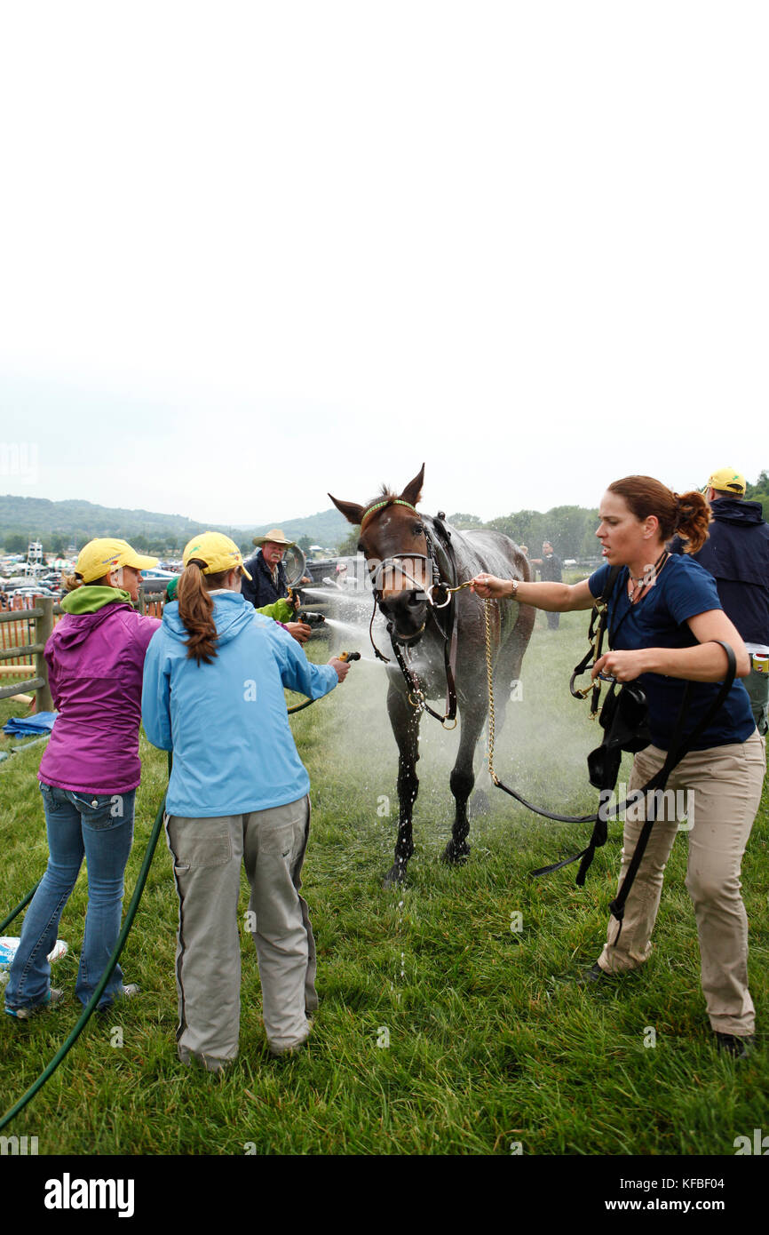 USA, Tennessee, Nashville, Iroquois Steeplechase, a horse gets cooled