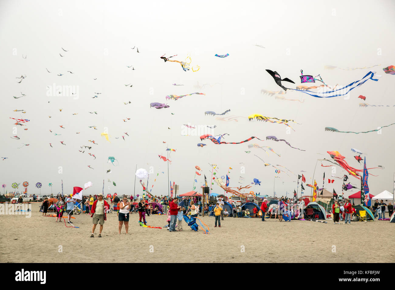 USA, Washington State, Long Beach Peninsula, International Kite