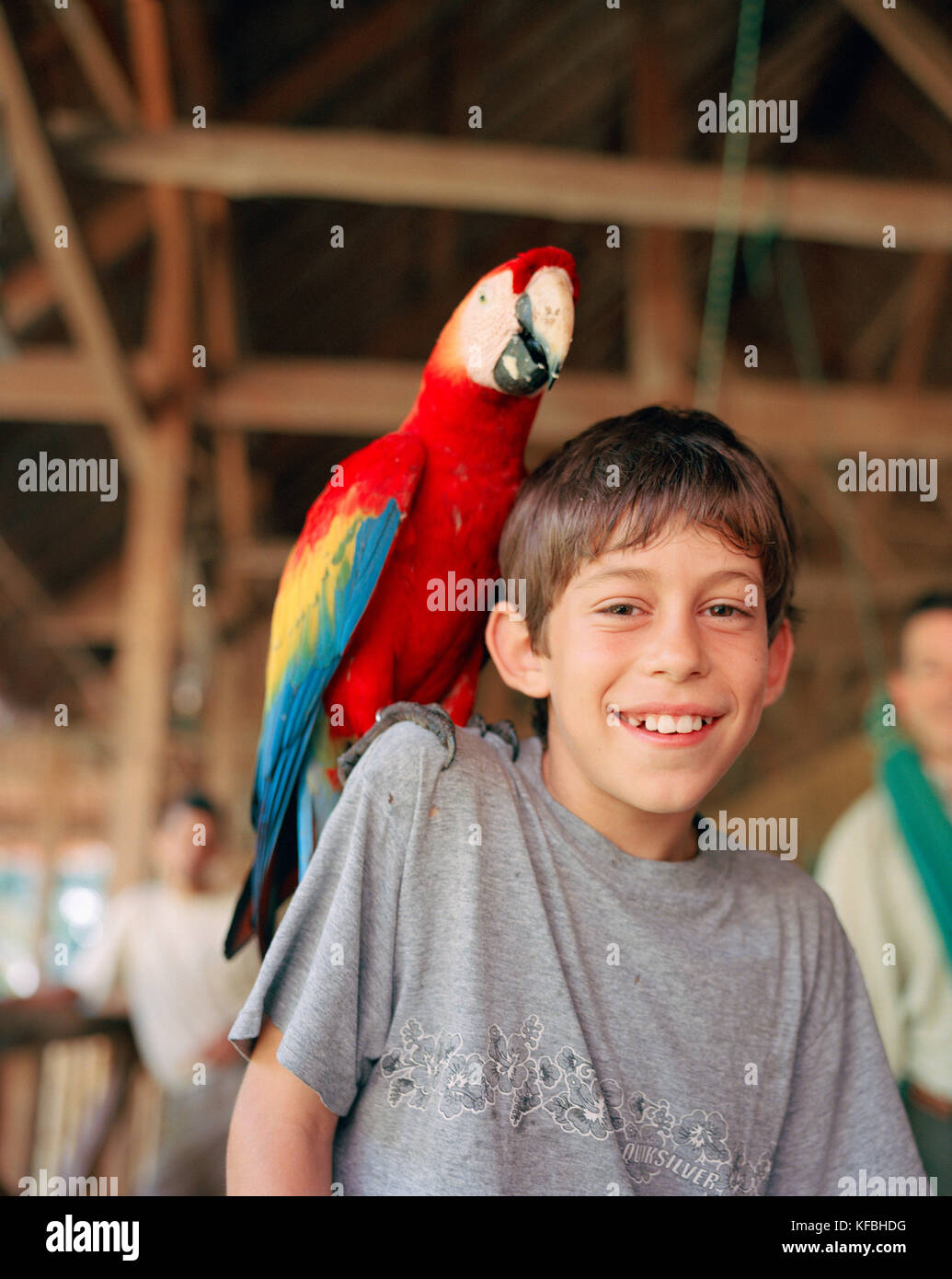 PERU, Amazon Rainforest, South America, Latin America, portrait of a Asa with Macaw bird sitting