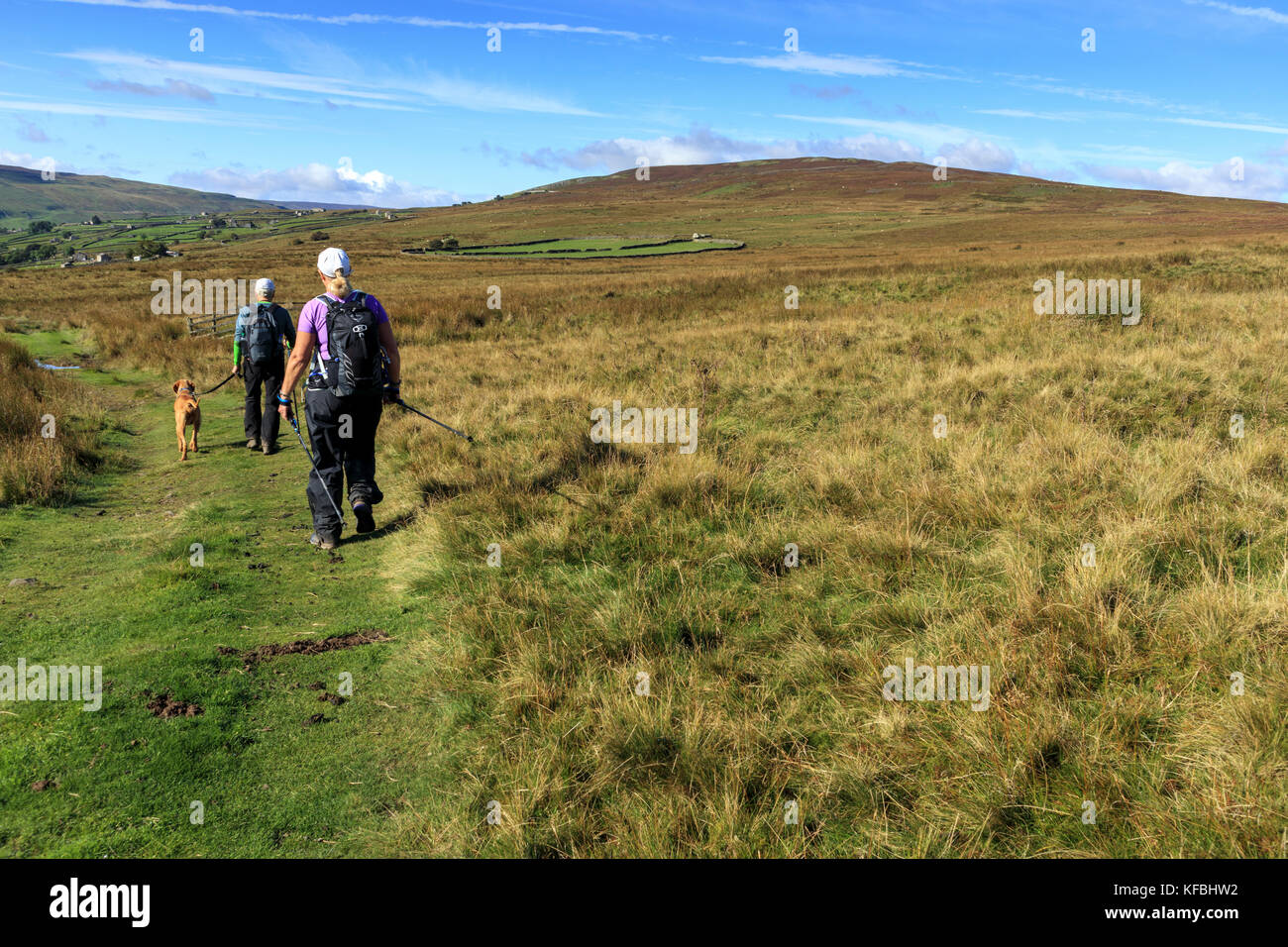 Couple and a dog walking away from the camera on the Alfred Wainwright Coast to Coast trail in the North Yorkshire Moors of  northern England Stock Photo