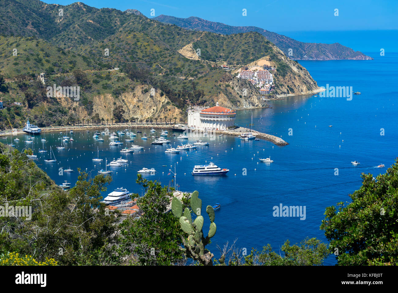 Boats in catalina catalina island hires stock photography and images
