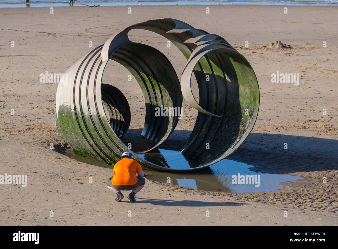 Mary's shell metal beach sculpture by Stephen Broadbent Thornton