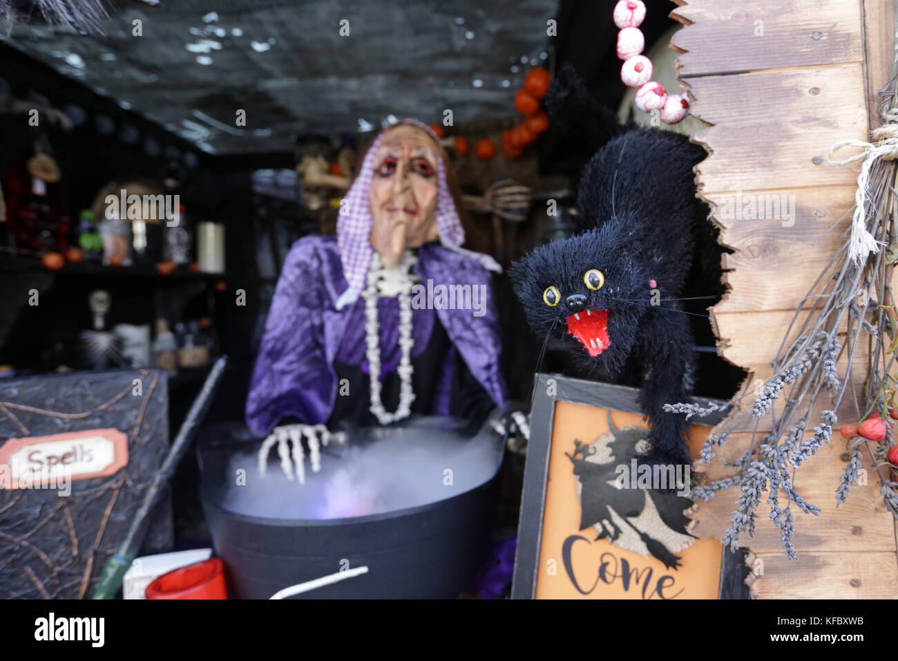 Dublin, Ireland. 27st October 2017. A house in the Dublin 3 area which is decorated for Halloween to raise money for Temple Street Childrens Hospital in Dublin. Credit : Laura Hutton/Alamy Live News. Stock Photo