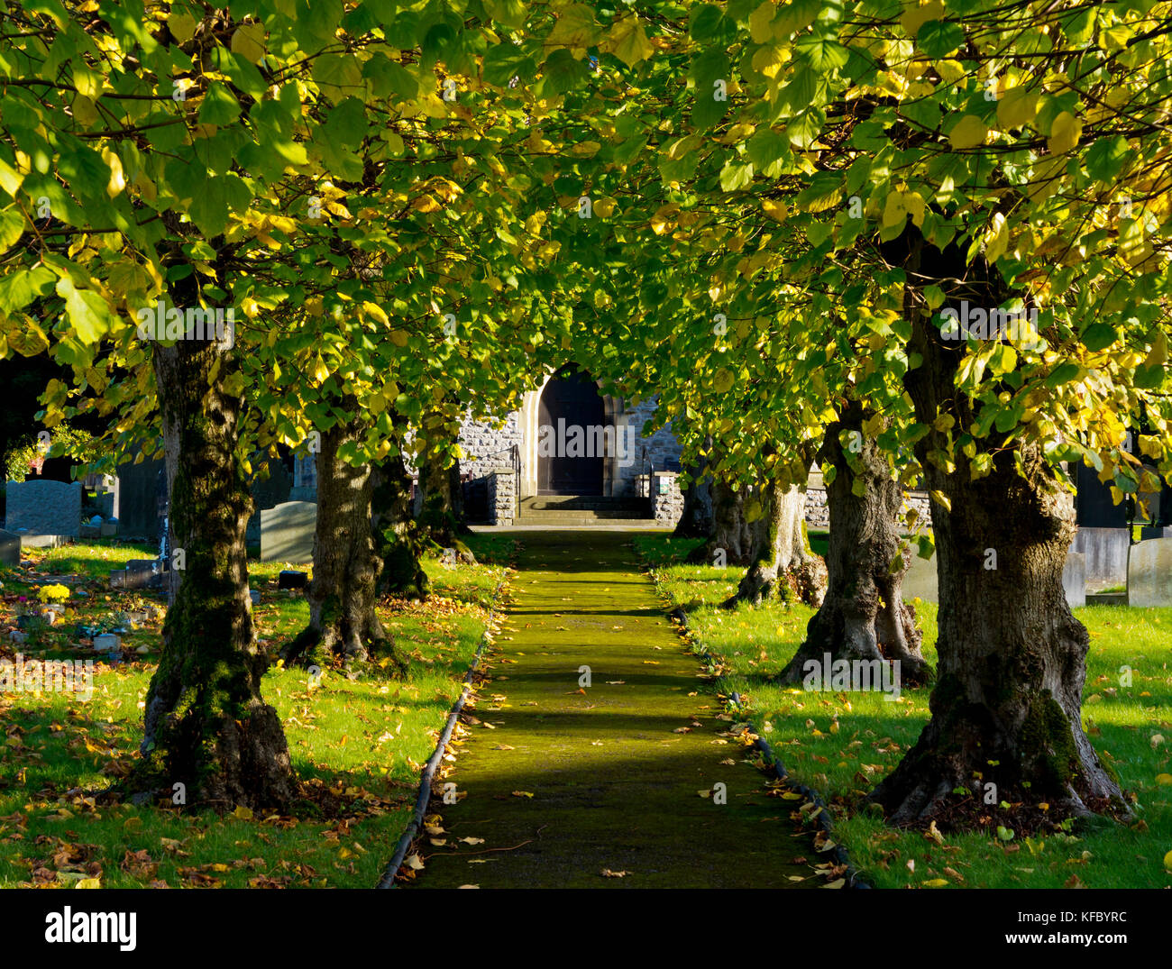 Avenue of brightly coloured trees in front of St Barnabas Church in Bradwell village Derbyshire Peak District England UK Stock Photo
