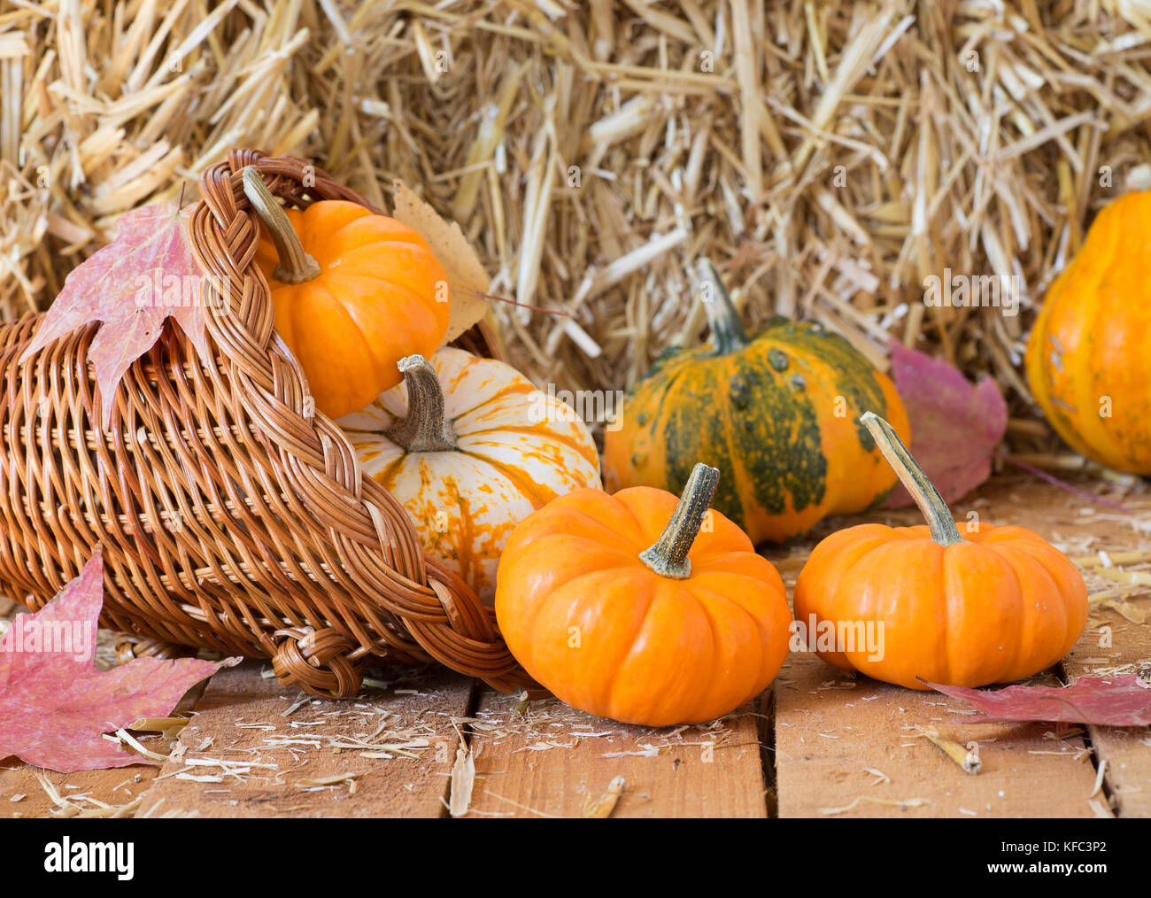 Colorful pumpkins and gourds in a basket with a straw bale background Stock Photo