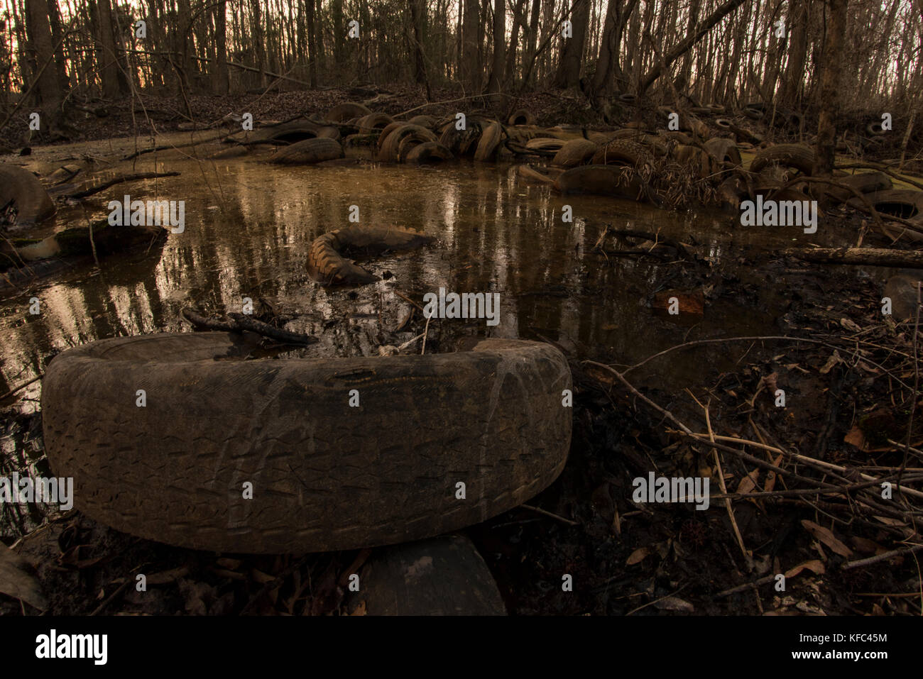A polluted wetland in North Carolina that has been used as a illegal dumping site for tires. Stock Photo