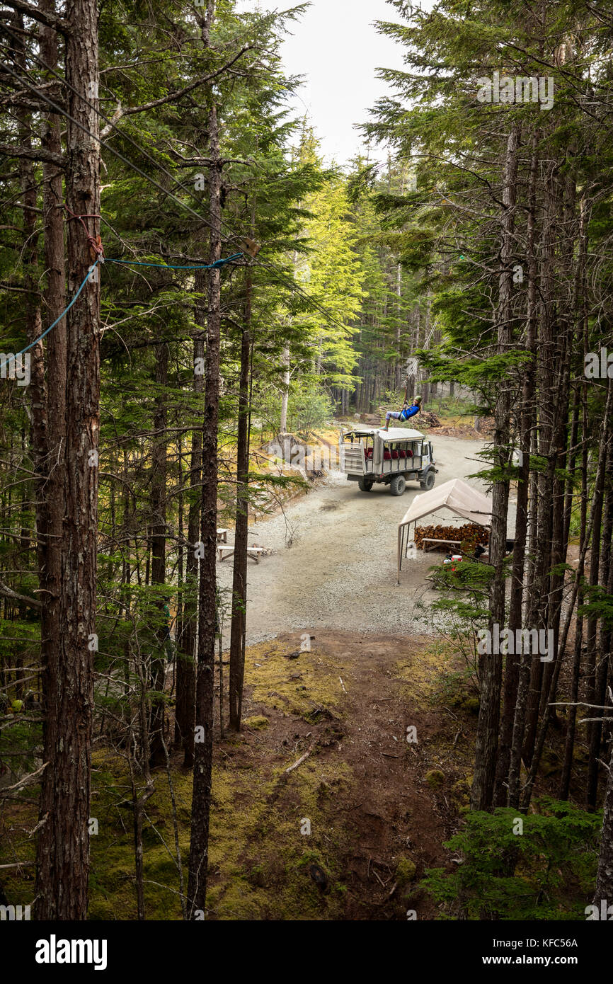 USA Alaska, Sitka, Grizzly Falls Zipline Expedition in the area of Dyea