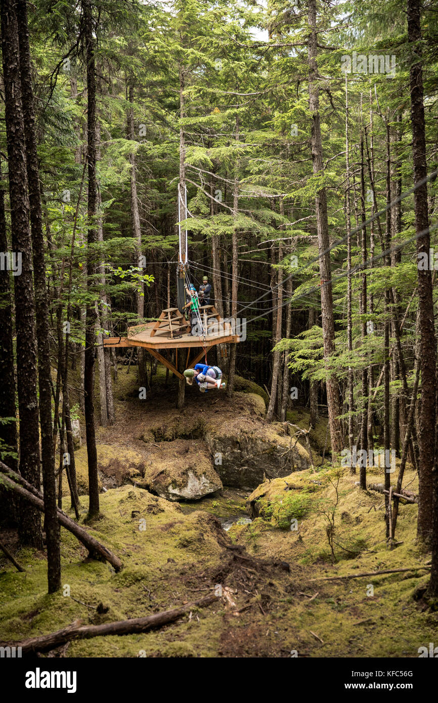 USA Alaska, Sitka, the Grizzly Falls Zipline Expedition in the area of
