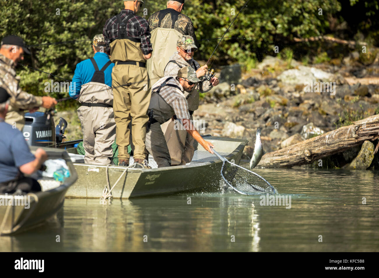 USA, Alaska, Redoubt Bay, Big River Lake, fishermen netting fish at Wolverine Cove Stock Photo