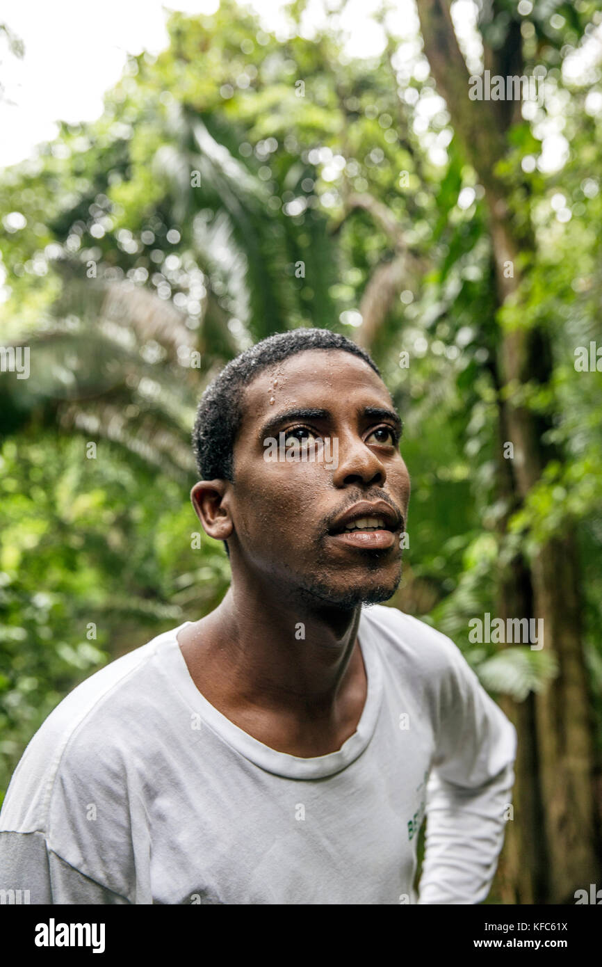 Lost jungle man hi-res stock photography and images - Alamy