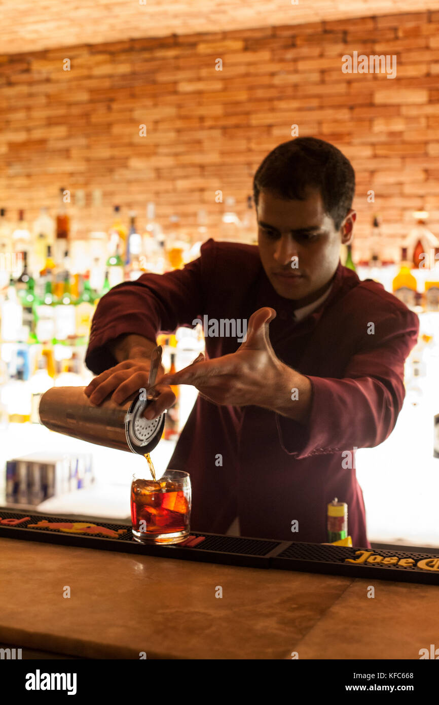 BRAZIL, Rio de Janiero, a bartender pours a drink at the bar inside of Hotel Fasano Stock Photo