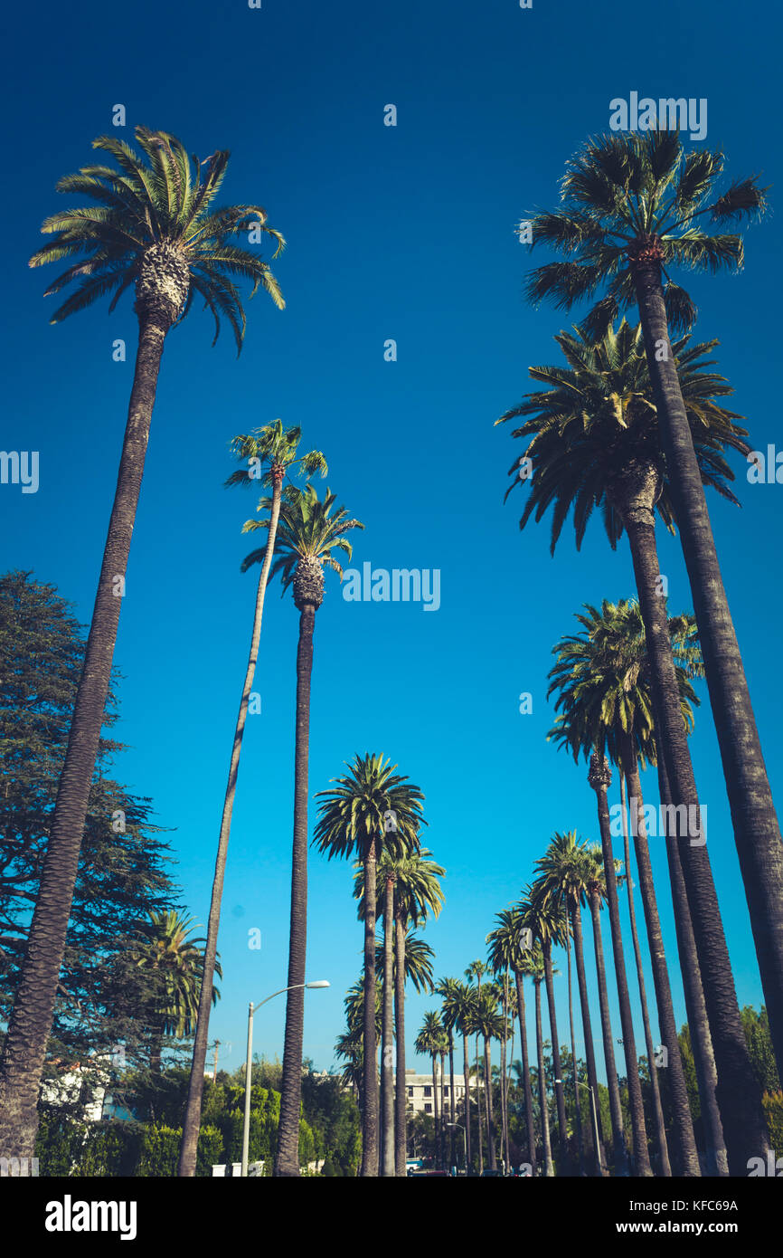 Streets of Beverly Hills with palms, California, cinematic retro