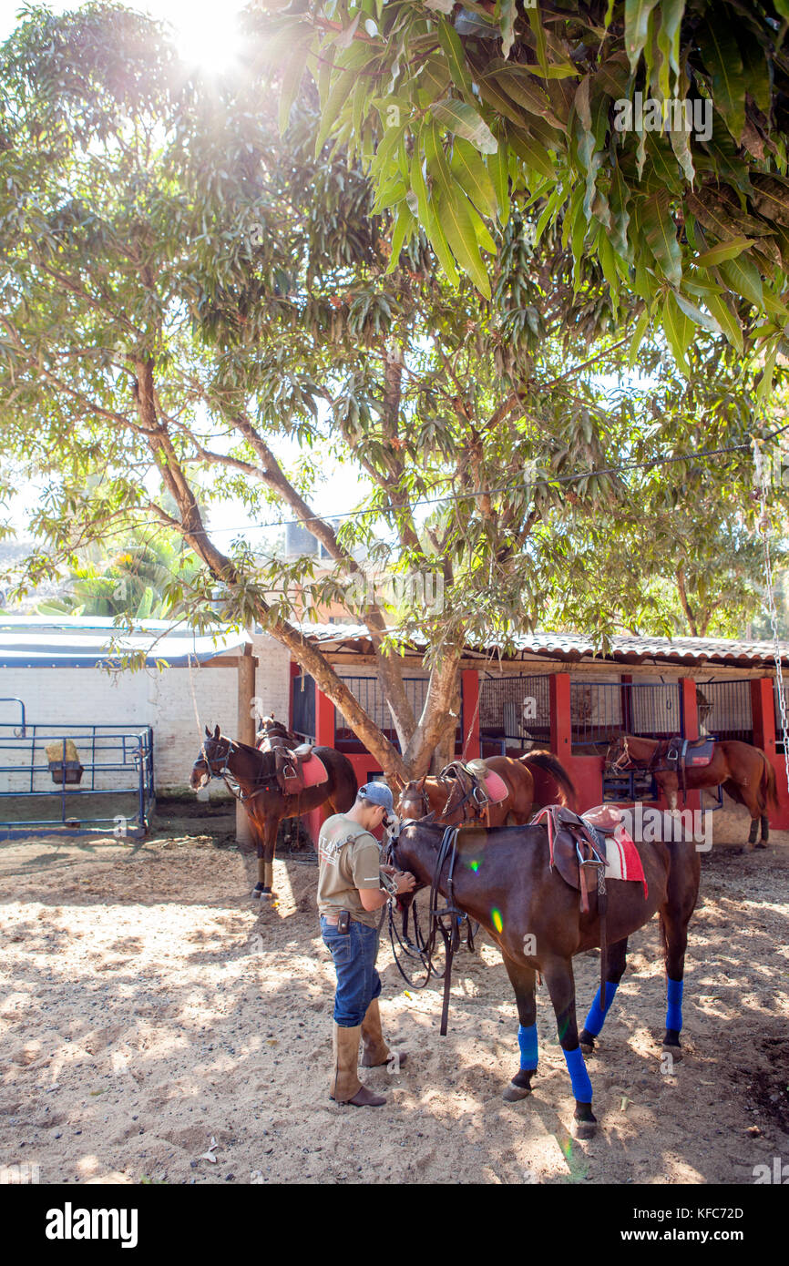 MEXICO, San Pancho, San Francisco, La Patrona Polo Club, staff members