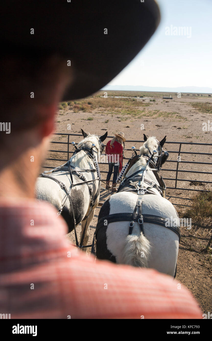 USA, Nevada, Wells, Cowboy and wrangler Clay Nannini leads a Horse
