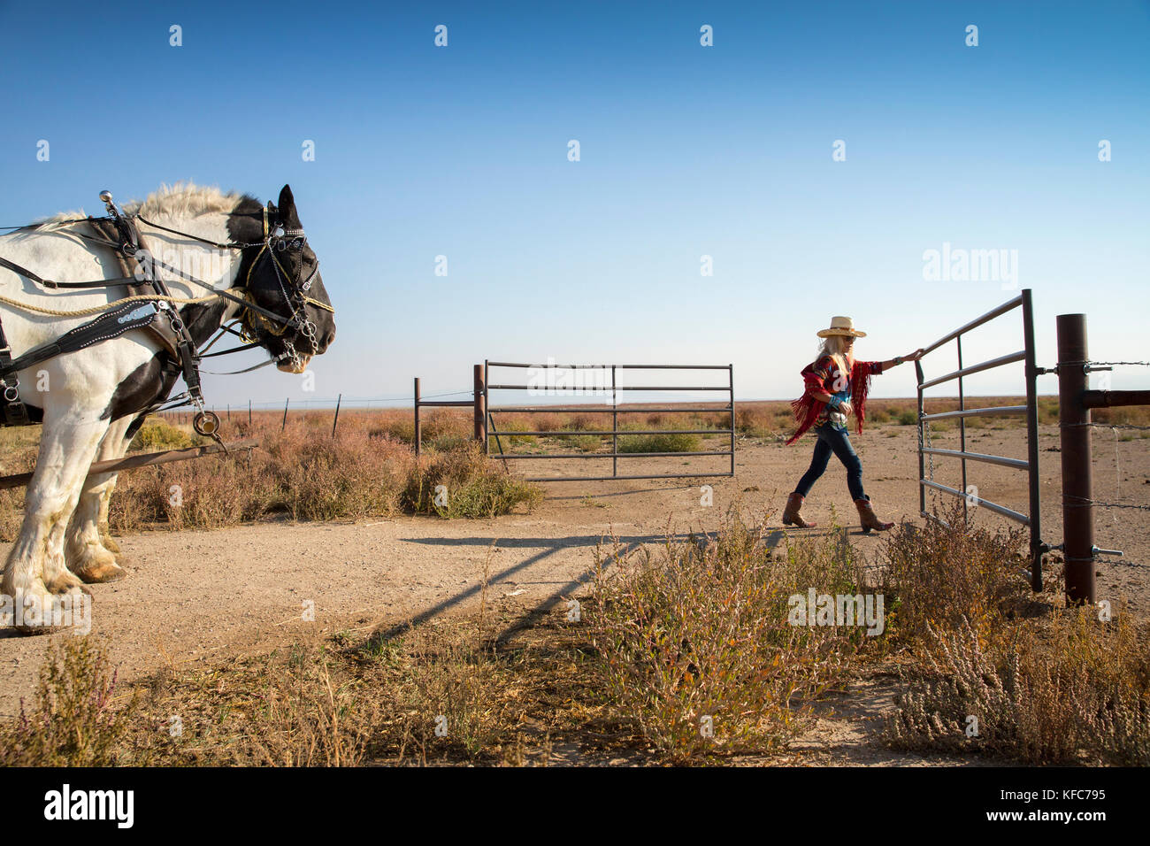 USA, Nevada, Wells, guests can participate in HorseDrawn Wagon Rides