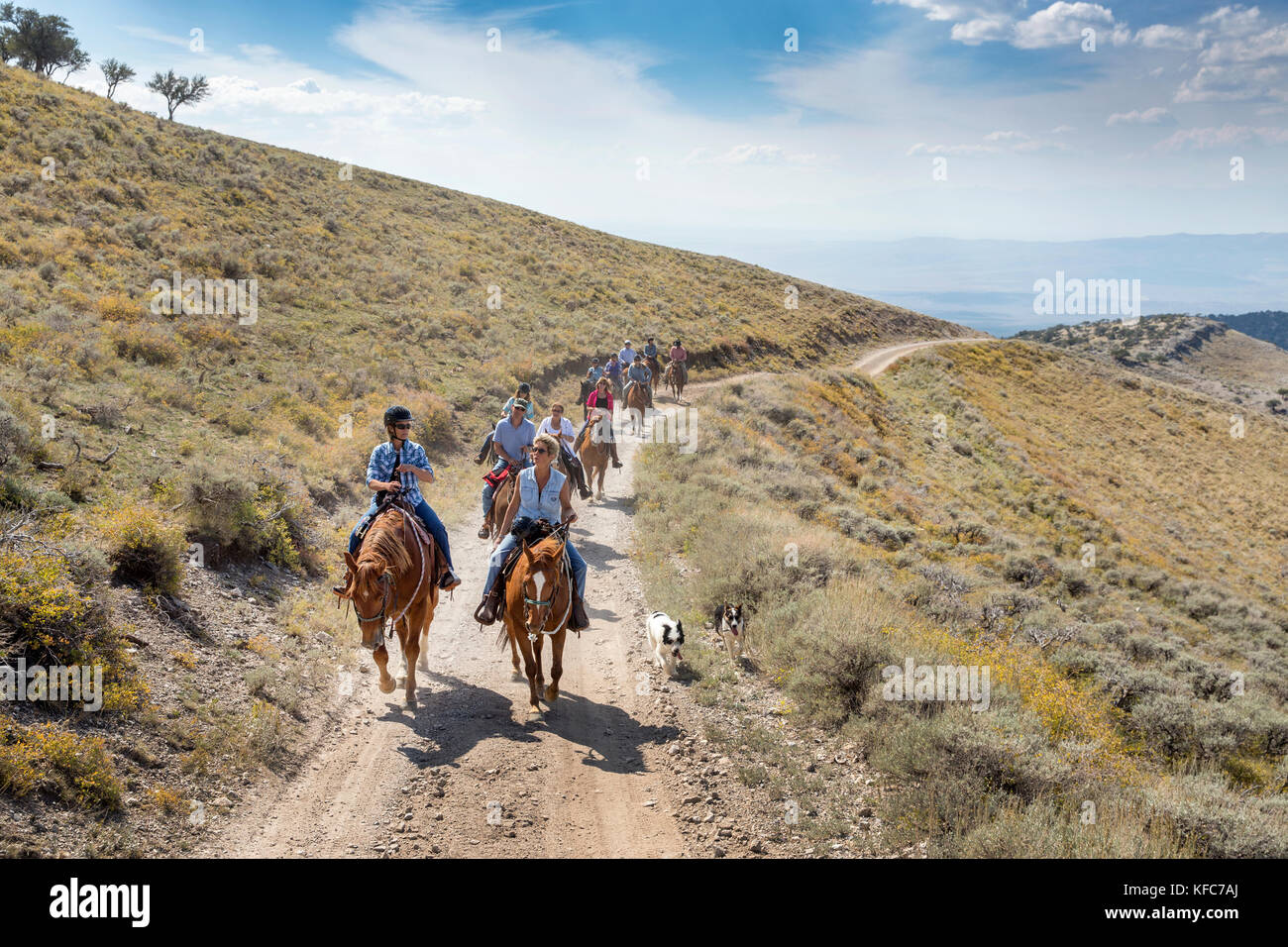 USA, Nevada, Wells, guests can participate in HorseBack Riding