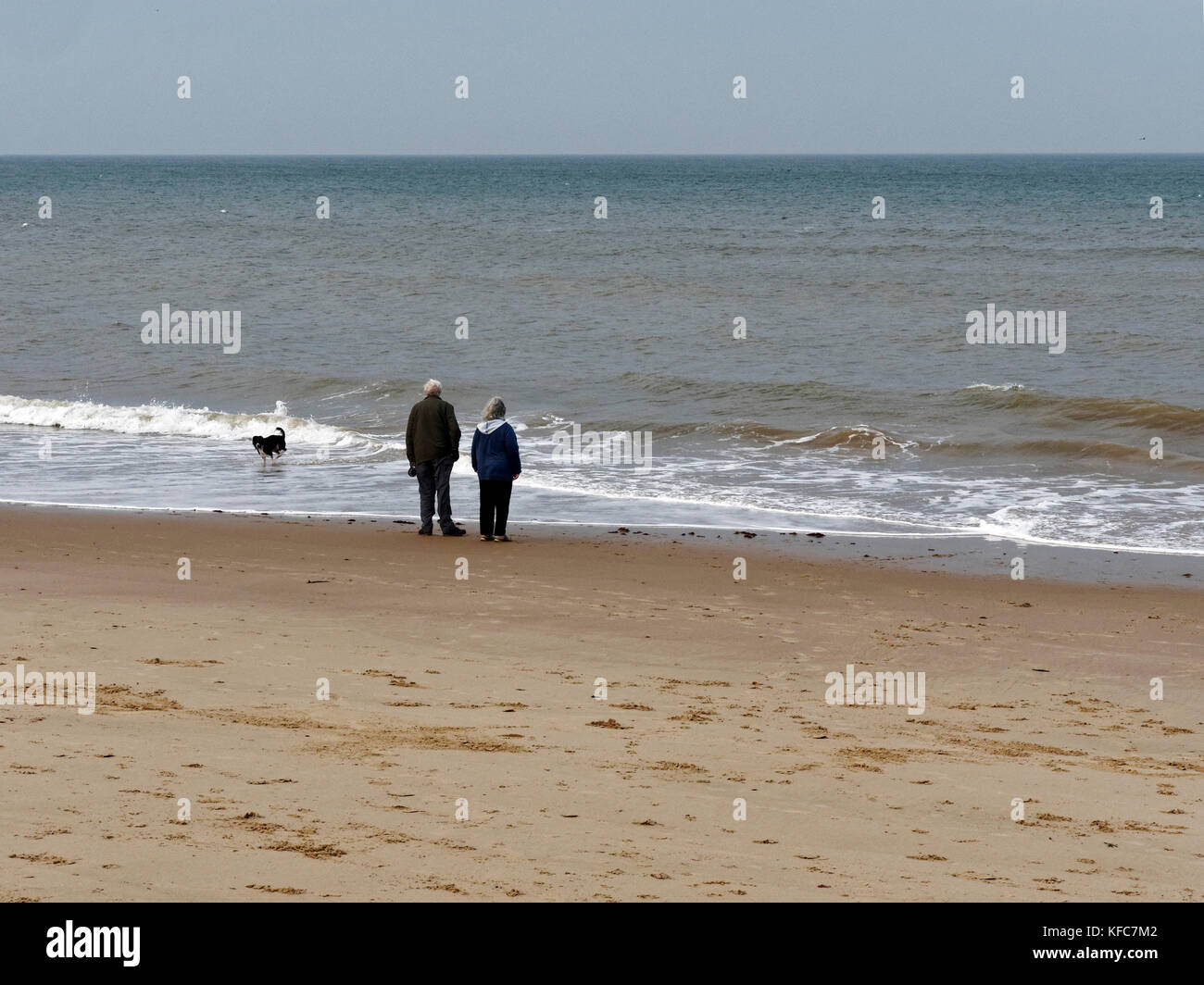 Senior couple with a dog on a sandy beach in Norfolk look out across a grey North Sea. Stock Photo