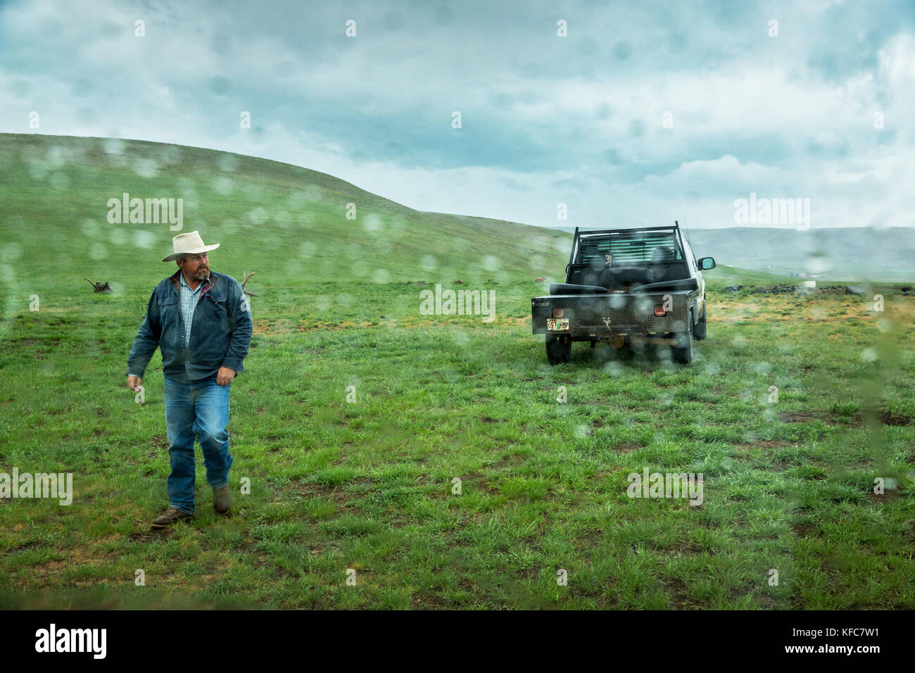 USA, Oregon, Enterprise, Cowboy and Rancher Todd Nash walks in the rain in front of his old pickup truck Stock Photo