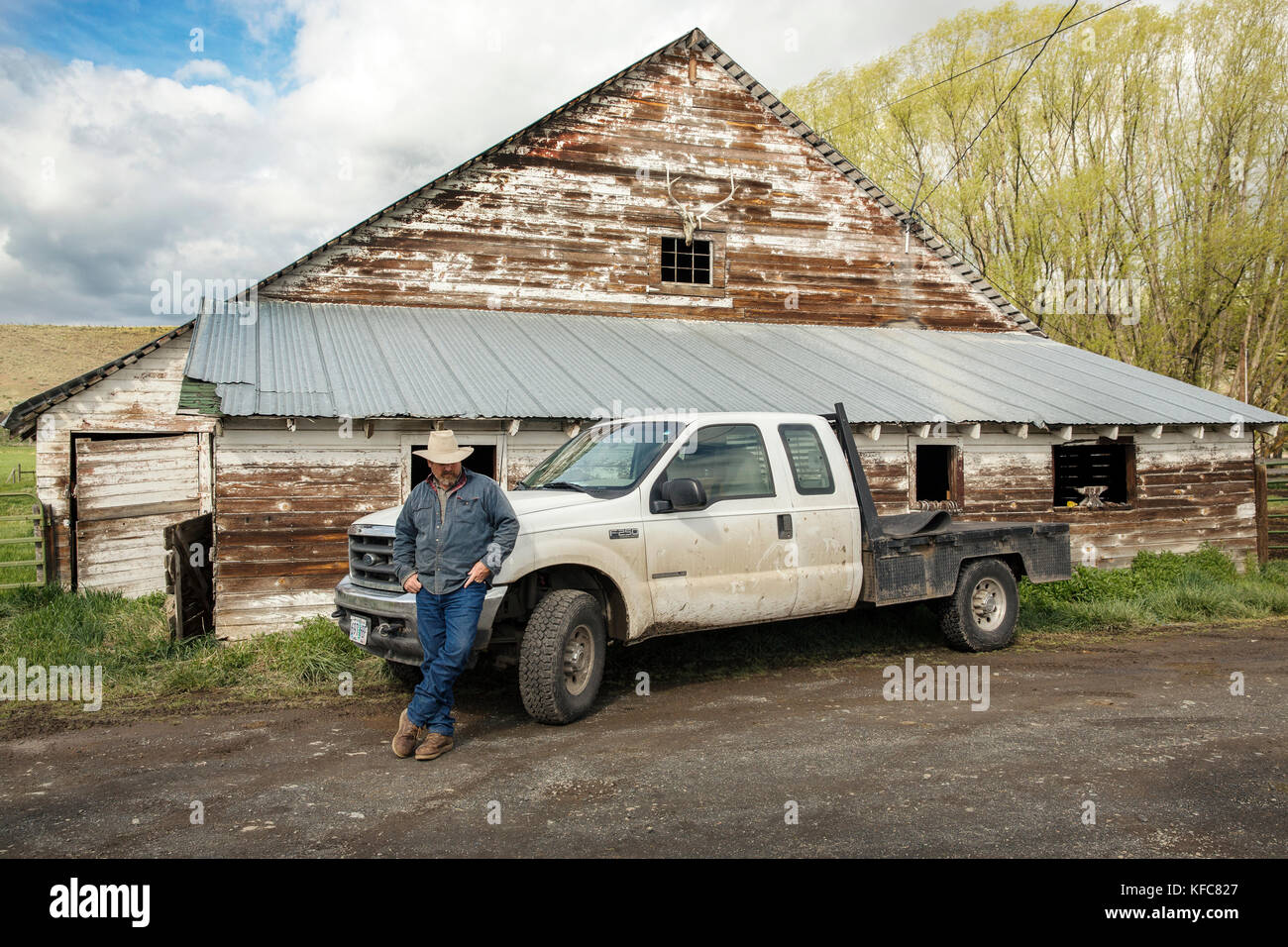 Typical Oregon Rancher USA, Oregon, Enterprise, Portrait of Cowboy and Rancher Todd Nash in ...