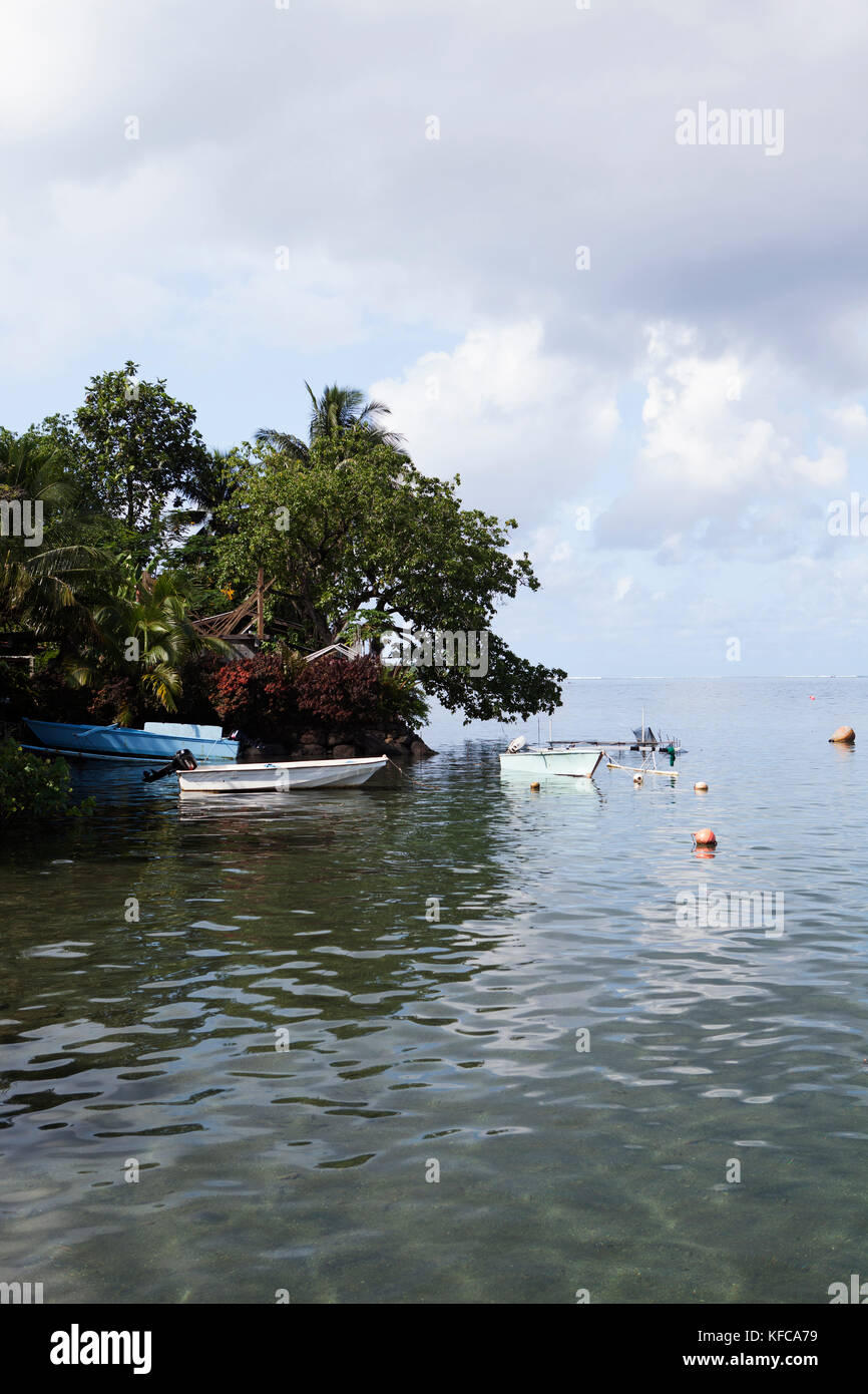 FRENCH POLYNESIA, Tahiti. View fishing boats in the village of Vairao