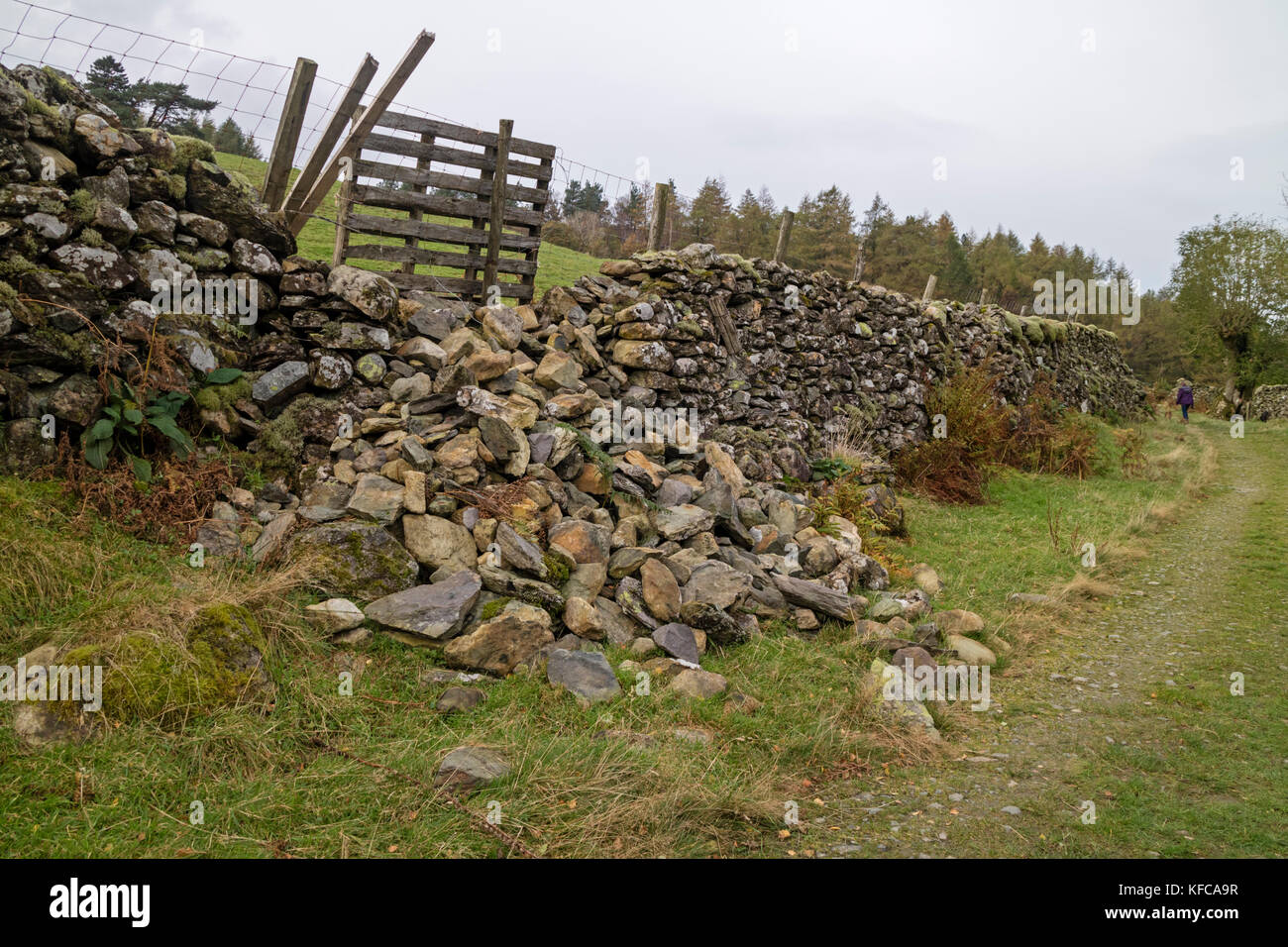 Collapsed drystone wall, Lake District National Park, Cumbria, England, UK Stock Photo