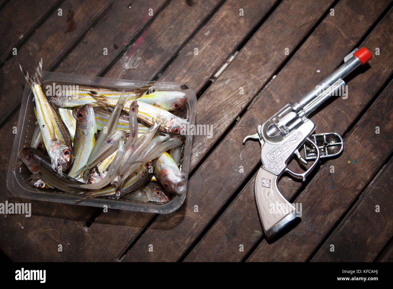 FRENCH POLYNESIA, Moorea. Still life of fish and toy gun Stock
