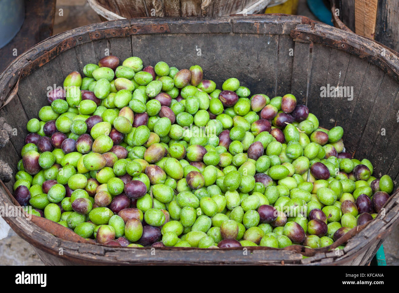 Freshly harvested green and black olives in a wooden basket for sale at Sineu market, Majorca
