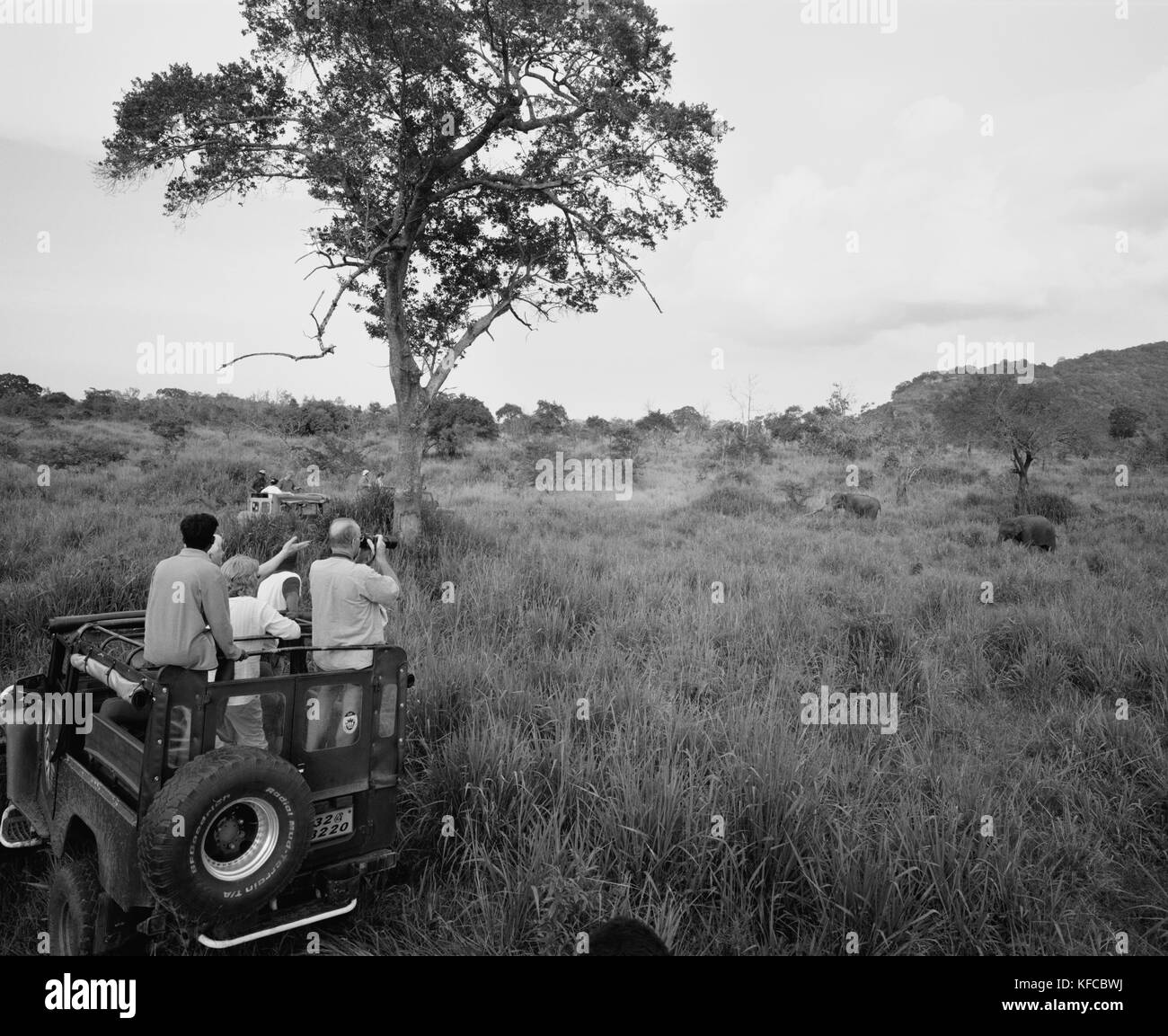 SRI LANKA, Asia, tourists with guide at Udawalawe National Wildlife Park (B&W) Stock Photo