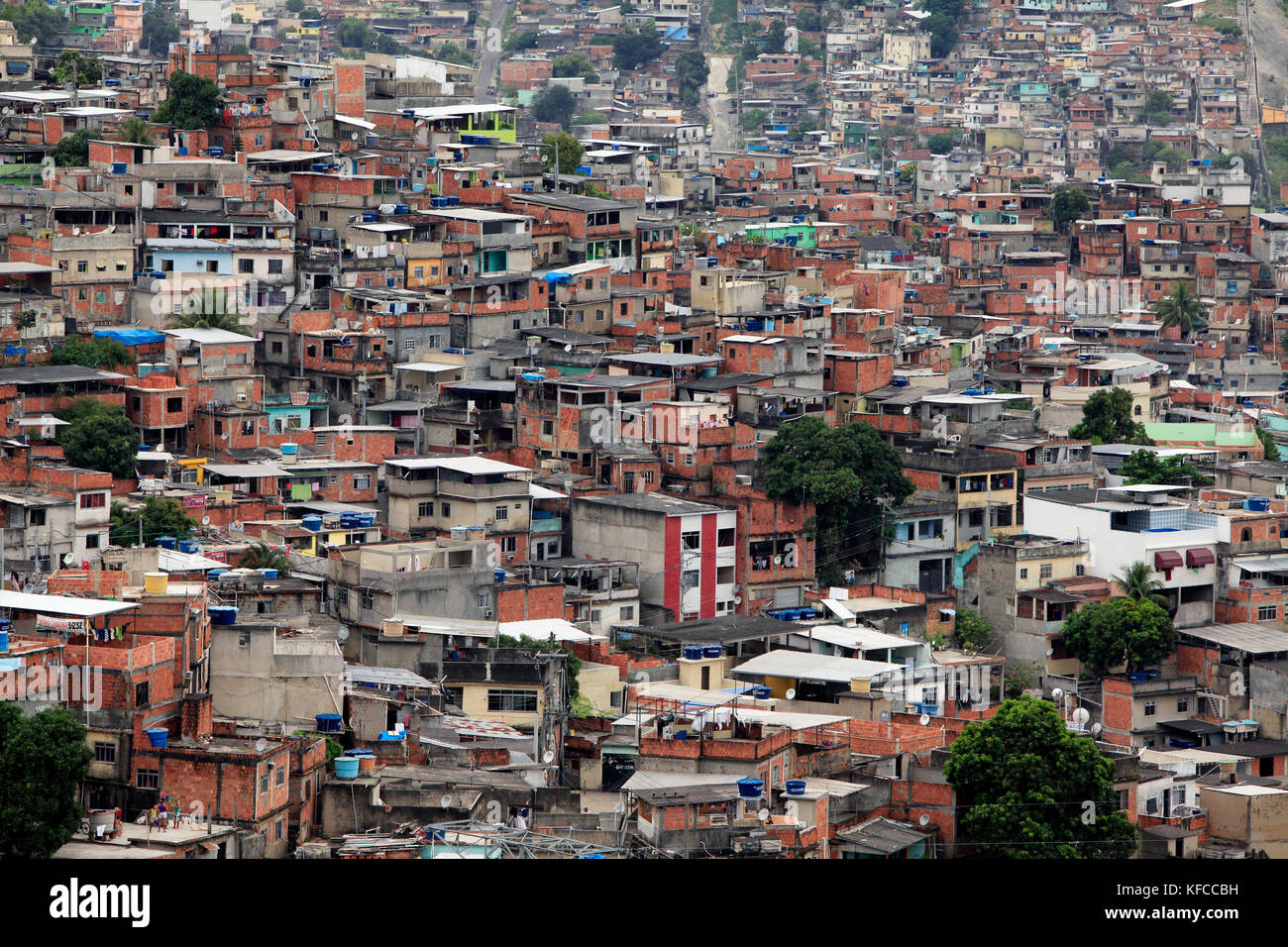 Amador favela