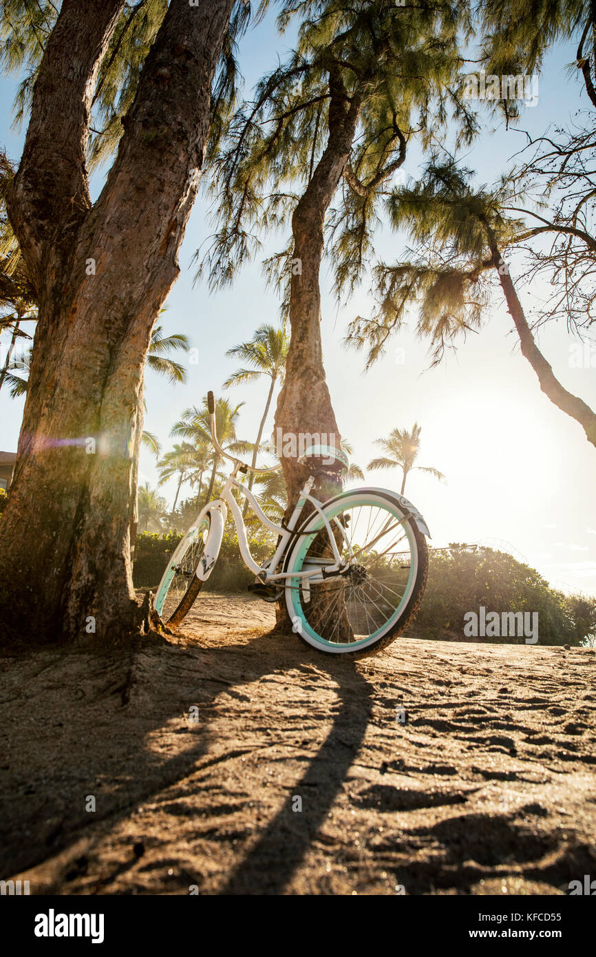 HAWAII, Oahu, North Shore, a bike resting on a tree at Pipeline Stock Photo Alamy
