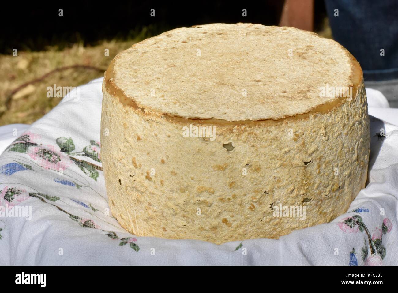 Artisanal Goats Milk Cheese Round Made By Door County Creamery In