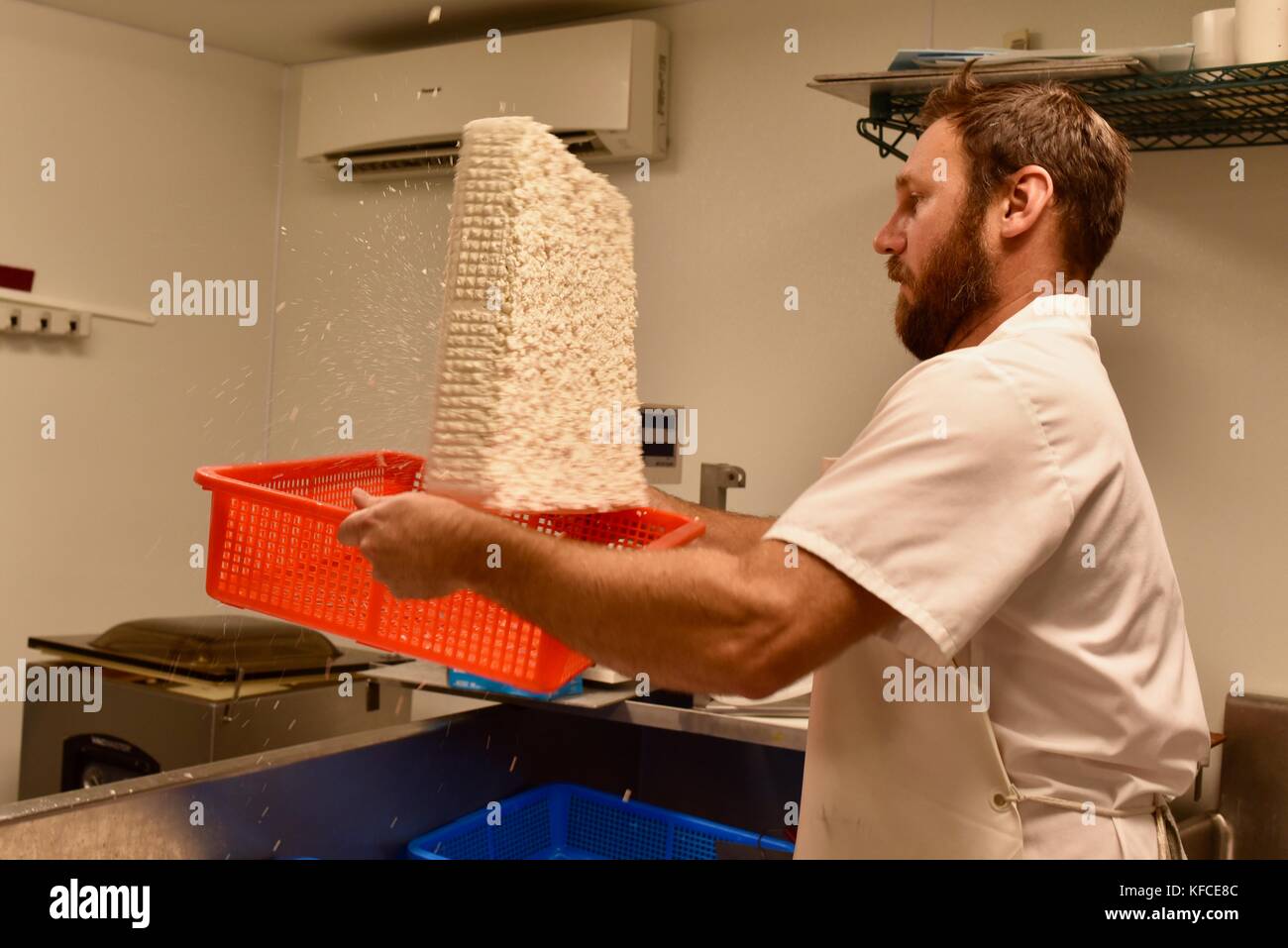 Cheesemaker Jesse Johnson hand flipping cheese in factory at Door County Creamery in Door County