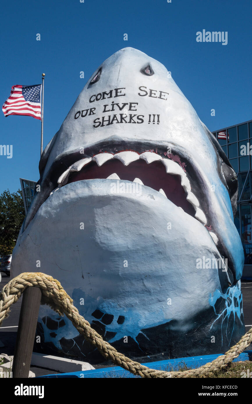 Jaws Resort Wear, Murrells Inlet, South Carolina, USA Stock Photo Alamy