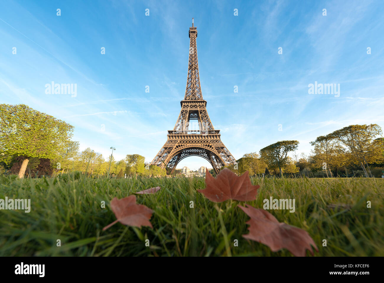Sunny morning in Paris and Eiffel Tower with maple leaf at Paris, France. Stock Photo