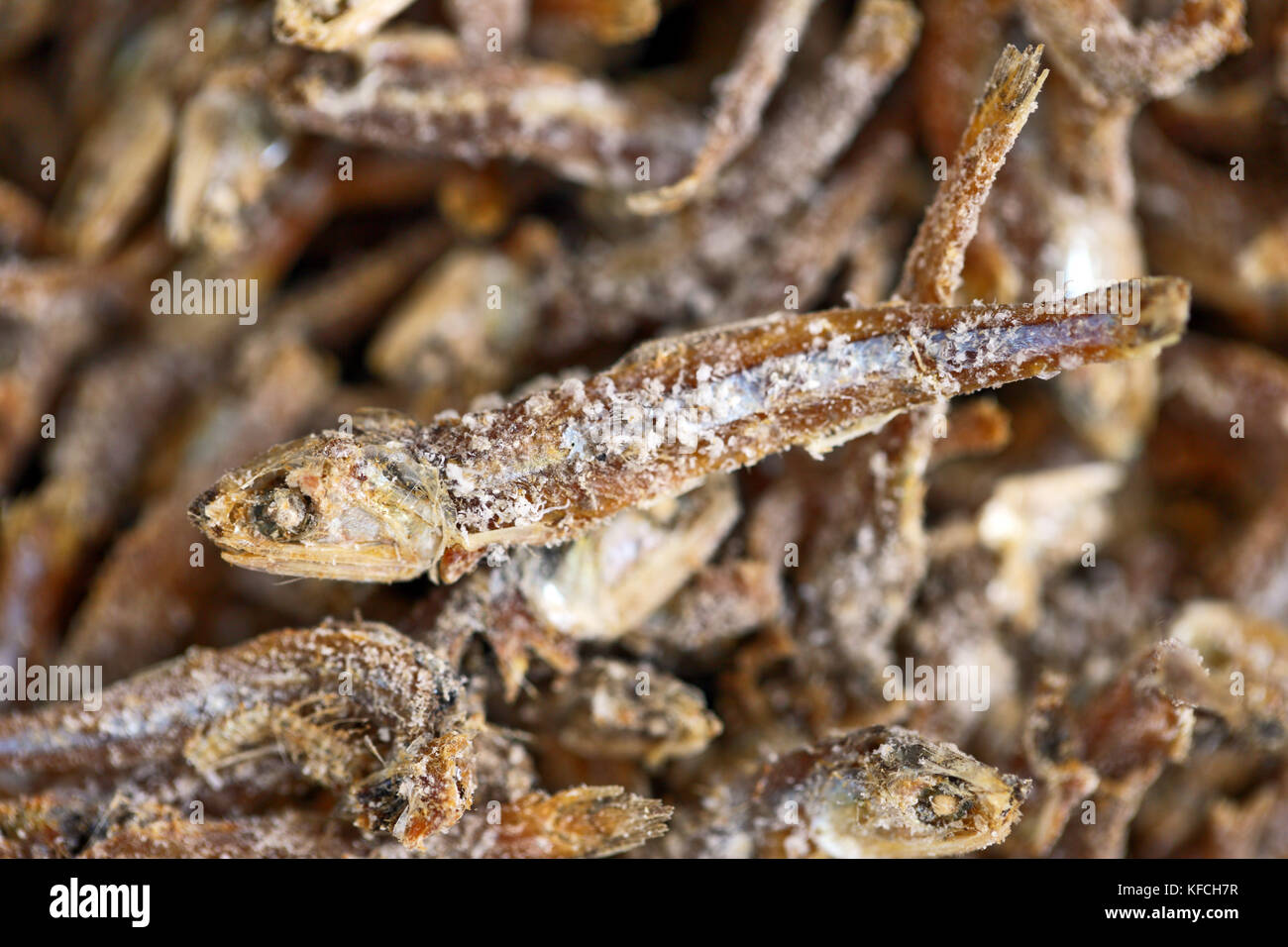 Dried anchovies used in Asian cooking Stock Photo Alamy