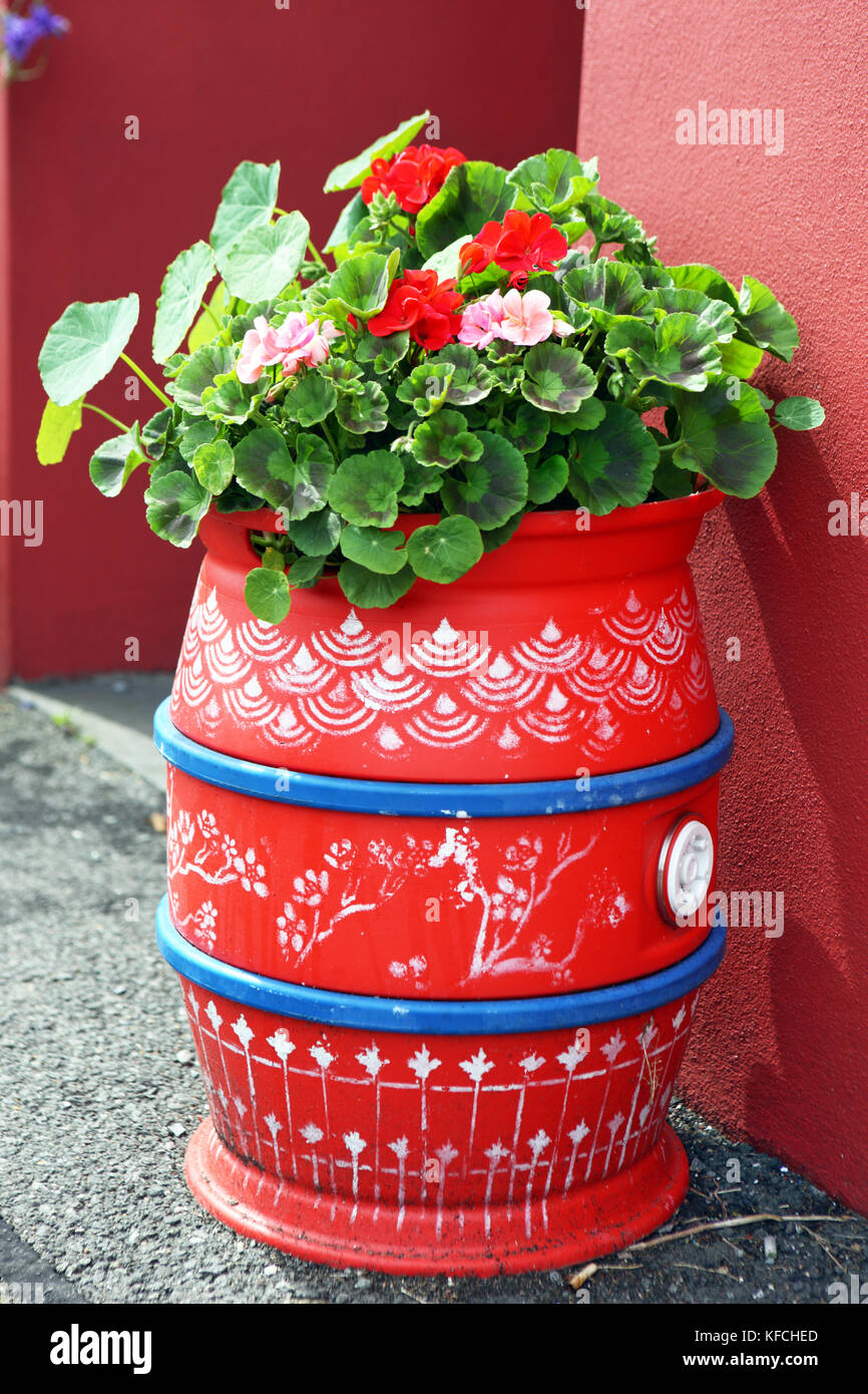 Painted beer barrel full of Geraniums in Tobermory, Isle of Mull in Scotland Stock Photo