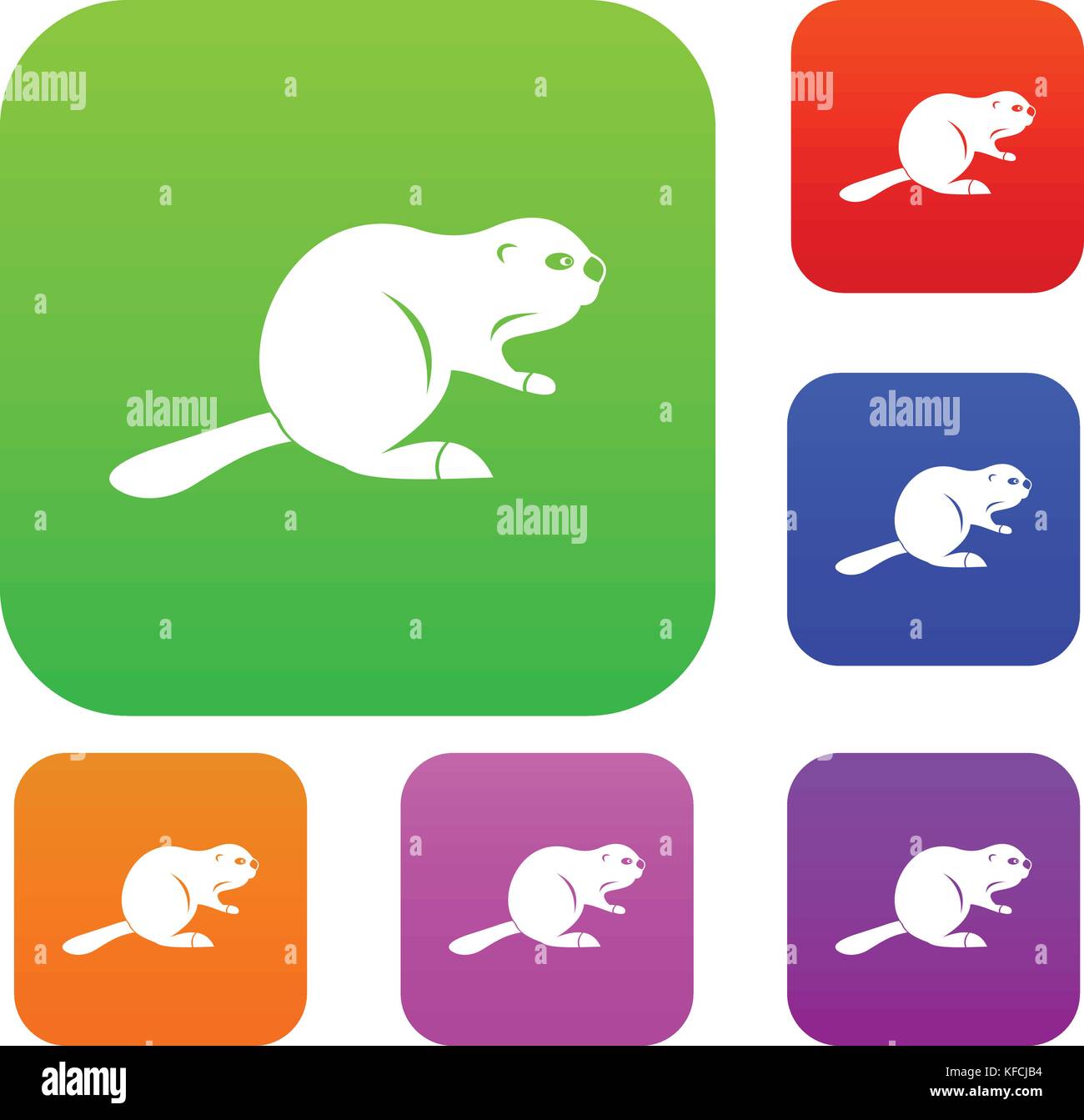 Canadian beaver set color collection Stock Vector