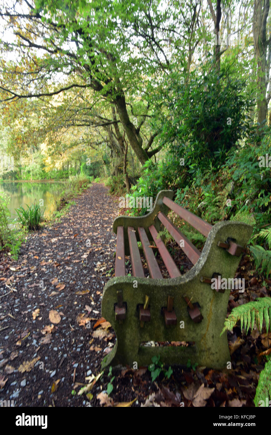 A bench under some trees on a pathway next to a lake in autumn at pinetum park in saint Austell, Cornwall. Stock Photo